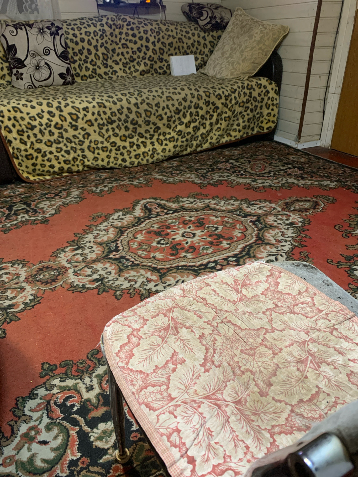 The image depicts an indoor scene, likely a living room. A sofa with a leopard print cover and decorative pillows is visible. A patterned rug with predominantly red, black, and cream colors covers the floor. In the foreground, a small stool or table with a floral print fabric is partially visible. The environment suggests a lived-in space, with visible wood paneling on the wall and a doorway on the right. The lighting is subdued. The image does not provide any specific information about the city of Prigori, Russia.