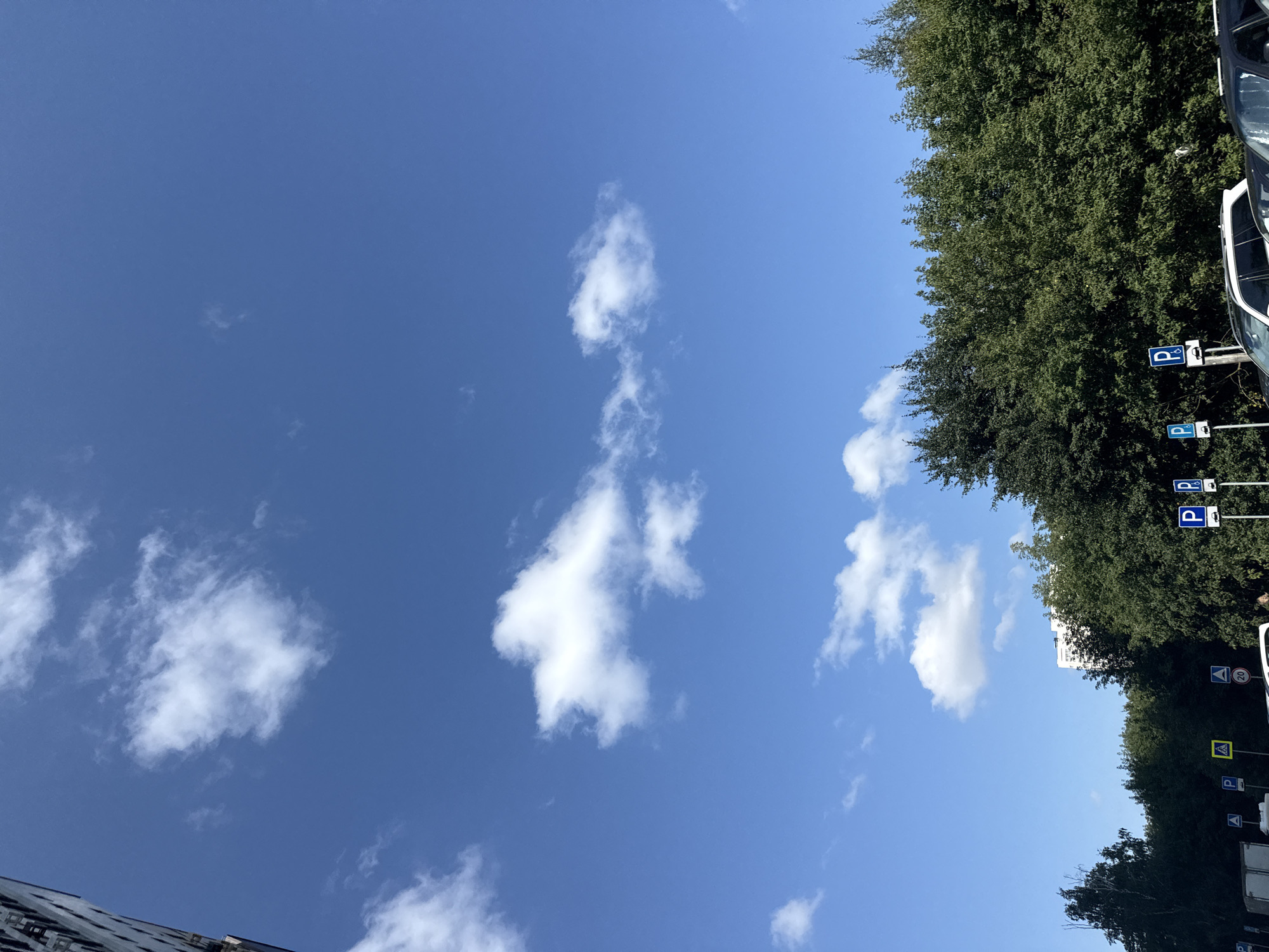 This is a medium shot, eye-level photograph taken on a clear day in Lyubertsy, Russia, likely during daylight hours. The scene depicts a parking lot bordered by a dense line of green trees. Above the trees, a bright blue sky is visible with scattered white clouds. Several cars are parked in the lot, and various blue and yellow traffic signs, including parking signs ("P") and a pedestrian crossing sign, are present. A tall, light-colored building is visible in the background, peeking out from behind the trees. The composition suggests an urban or suburban setting.