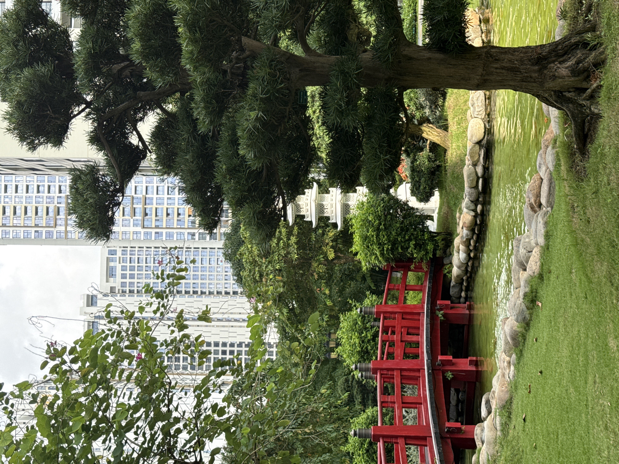 This image depicts a serene garden scene in Thủ Đức City, Vietnam, juxtaposing traditional Asian garden elements with modern urban architecture. In the foreground, a vibrant red arched bridge spans a tranquil, greenish body of water. The bridge, constructed with a traditional Japanese design, features intricate wooden railings and supporting pillars. Smooth, rounded stones line the banks of the water, transitioning into a neatly manicured green lawn. To the right, the thick trunk and branches of a mature pine tree dominate the frame, its dense green foliage reaching towards the sky. In the background, a multi-tiered white pagoda stands as a focal point amidst lush greenery, symbolizing a cultural landmark. Towering behind the garden are contemporary high-rise buildings, their glass facades reflecting the cloudy sky, creating a striking contrast between nature and urban development. The overall scene conveys a sense of peaceful coexistence between the natural and the man-made.