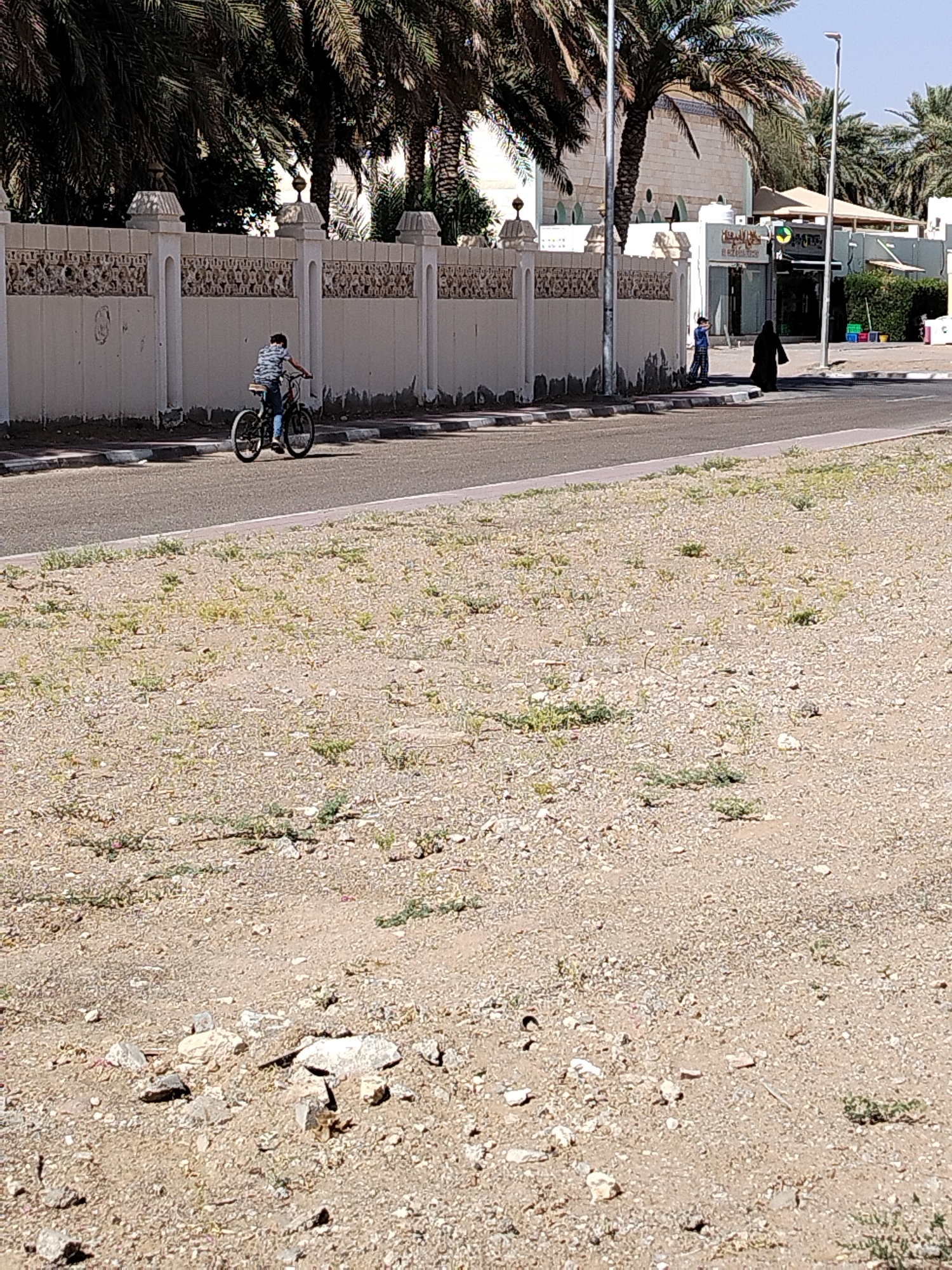 The photo, taken in Al Mas'oudi, United Arab Emirates, shows a street scene on a sunny day. A boy rides a bicycle on the road, near a high wall. A woman in a black robe walks on the sidewalk. In the background, palm trees are visible along with a building. The foreground shows an area of dry dirt and small rocks.