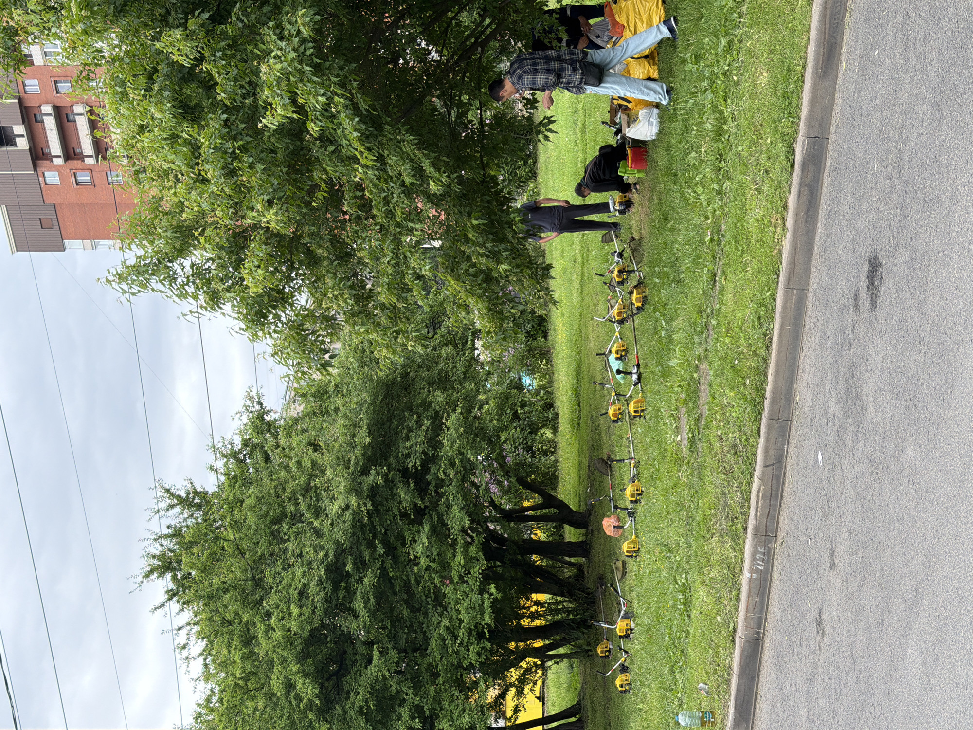 In Saint Petersburg, Russia, a group of individuals are gathered in a grassy area adjacent to a street. Several yellow brush cutters are lined up on the lawn. Two men are kneeling near the brush cutters, and two other men are standing. A woman in a plaid shirt and light-colored pants is also present, holding a small object. In the background, there is a multi-story brick building and lush green trees. The sky is overcast.