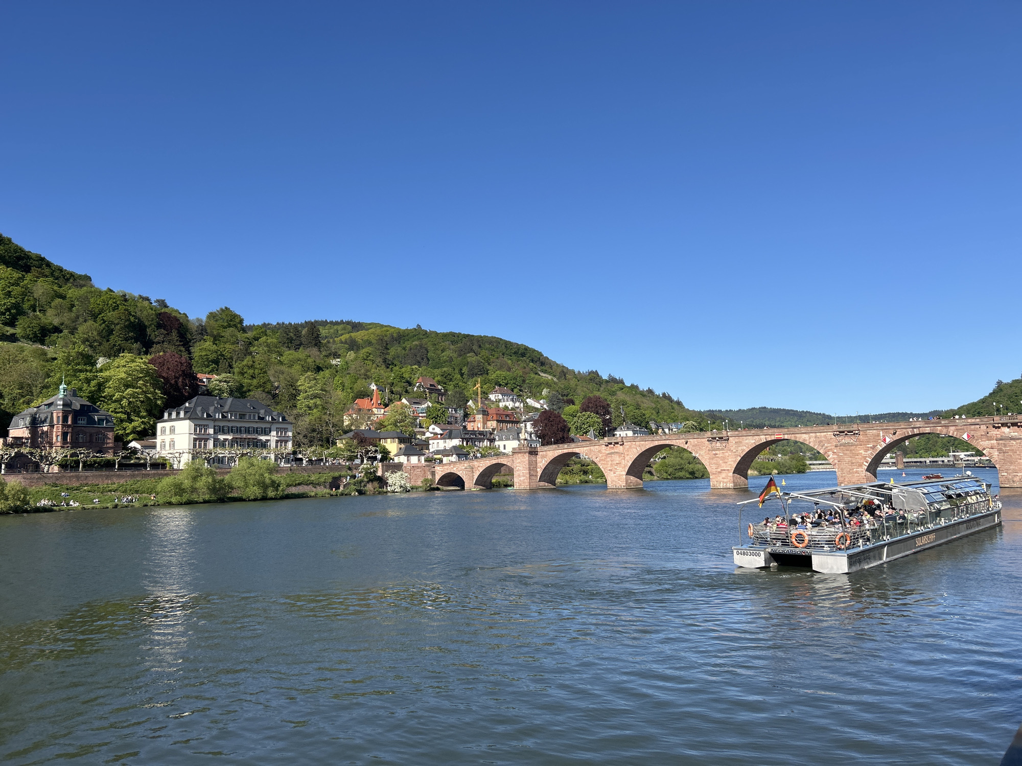 The image depicts a scenic view of a city on a sunny day. A river flows in the foreground, with a tourist boat carrying passengers cruising on its surface. In the background, there's an old stone bridge with multiple arches spanning the river, connecting the riverbank to the city. The city is built along the riverbank and slopes up a hillside covered with trees and various buildings, giving a blend of urban and natural landscapes. The sky is clear and blue, adding to the overall pleasant and clear atmosphere of the scene. The location is Heidelberg, Germany, as the bridge is the Alte Brücke.