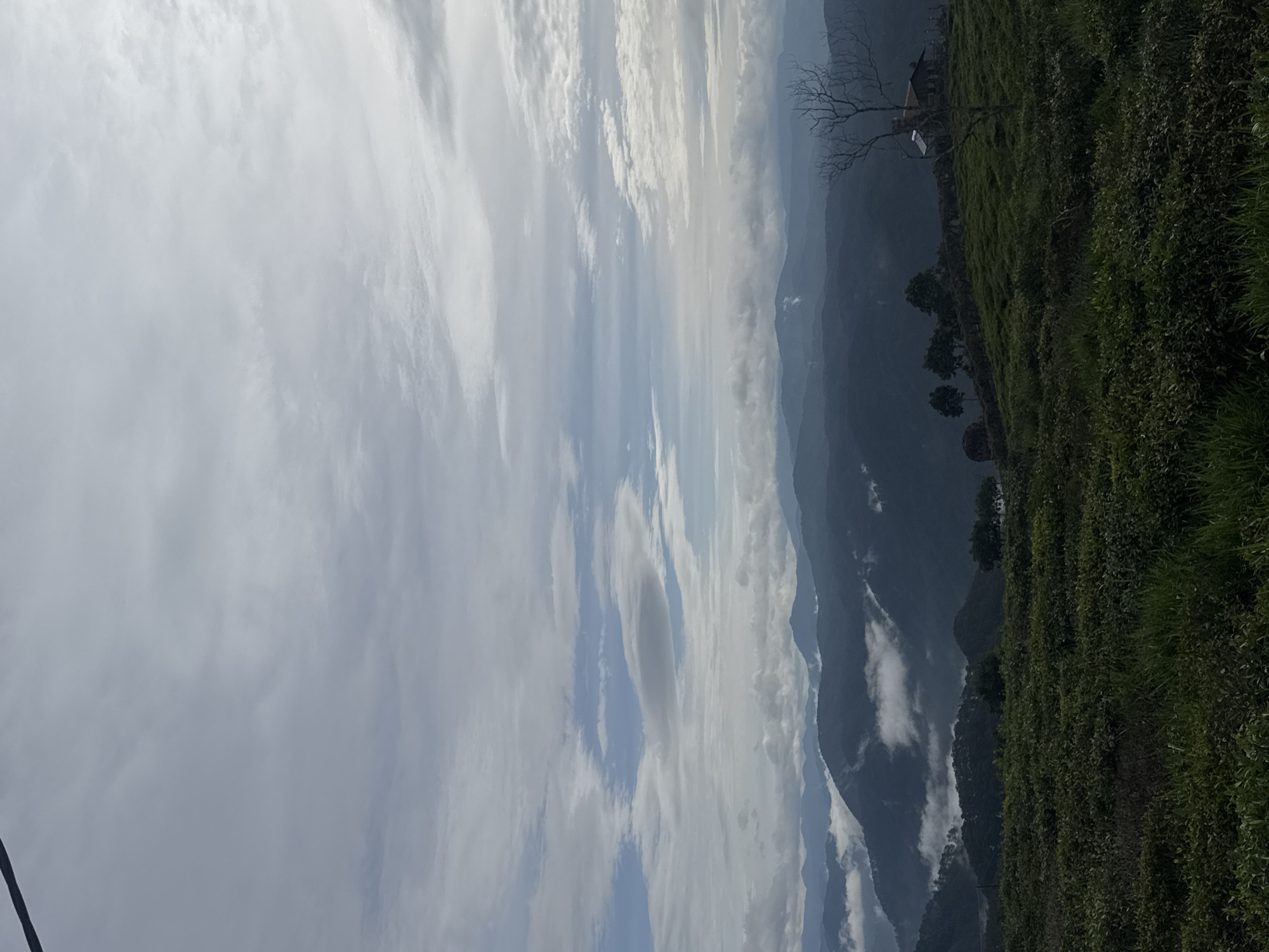 A landscape photograph taken in Phát Chi, Vietnam depicts rolling hills under a sky filled with clouds. A hillside covered in vegetation, possibly tea plants, dominates the right side of the image. In the distance, mountain ranges are visible, partially obscured by clouds or mist. The sky takes up a significant portion of the image, showcasing various cloud formations ranging from light, wispy clouds to darker, denser ones. A bare tree stands on the hillside, adding a subtle element to the landscape.