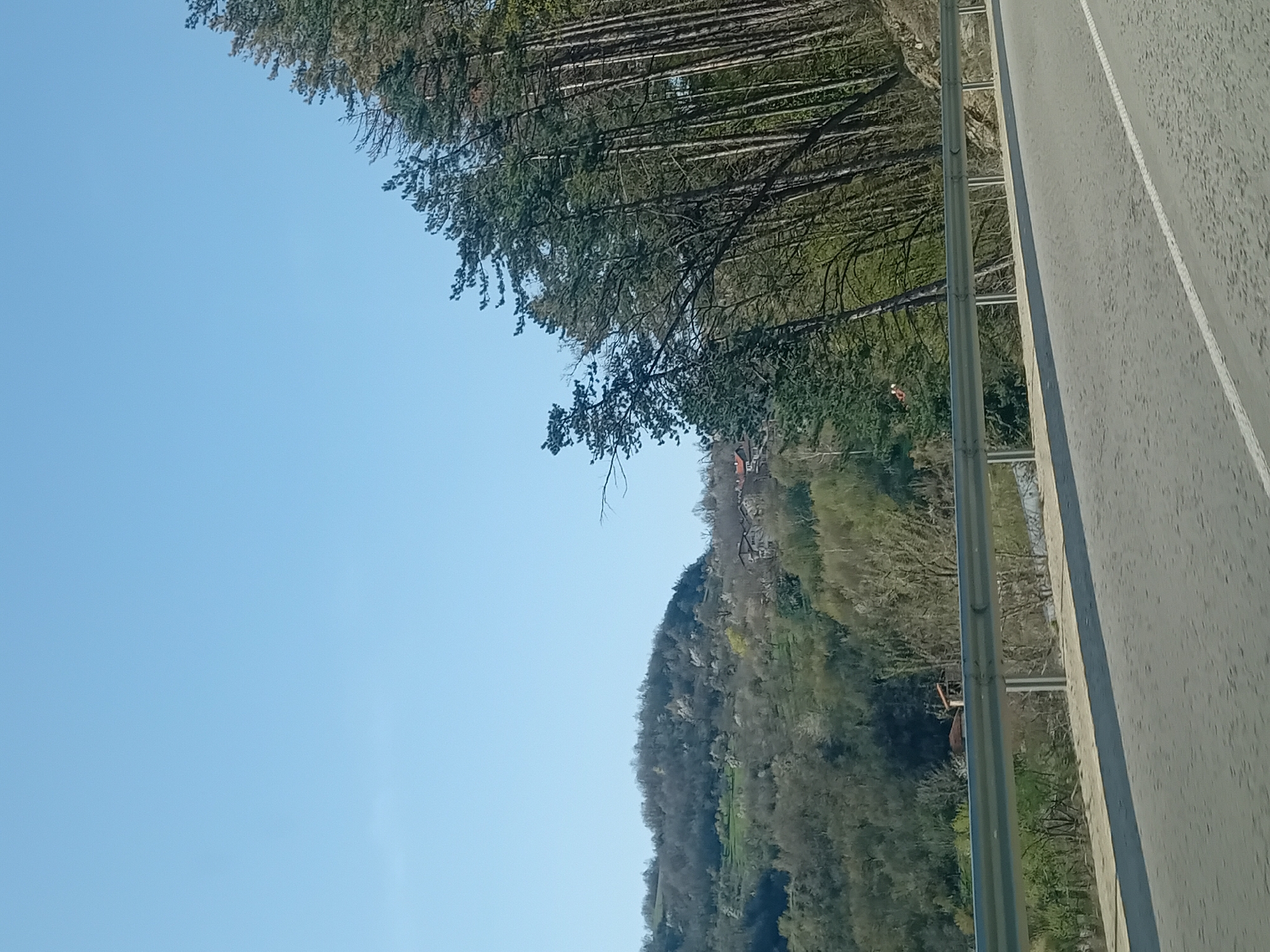 The image shows a road with a metal guardrail on the right, alongside a wooded hillside. The trees are a mix of evergreens and deciduous trees with some bare branches. A building with an orange roof is visible among the trees on the hillside. The sky is clear and blue. The location is Unknown, Unknown.