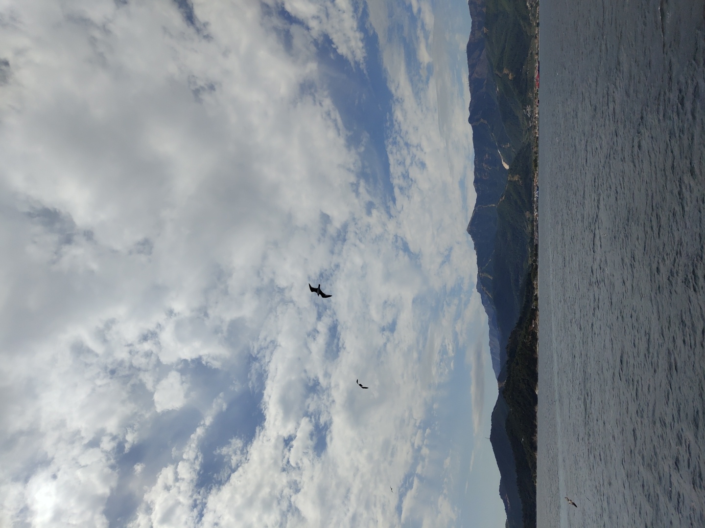 An outdoor, vertical, full shot captures a body of water in the foreground and a mountainous landscape under a cloudy sky in the background. The water is dark blue with ripples, and small white birds are flying over it. The sky is filled with white, puffy clouds against a bright blue sky. The mountains in the background are covered in green trees and some barren patches. A town with buildings is visible along the coast at the base of the mountains. The overall scene depicts a serene coastal landscape.
