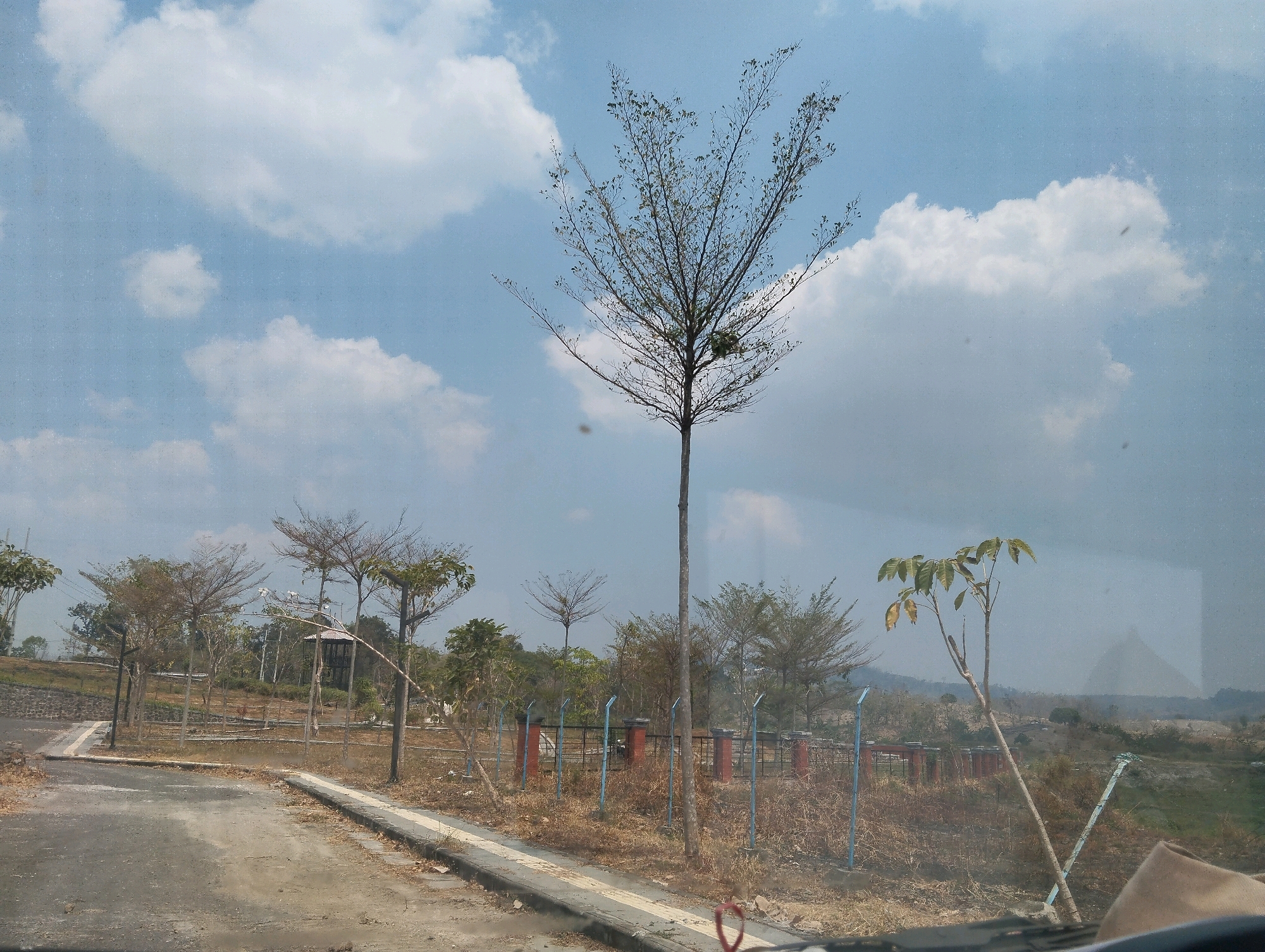 This is a medium-range, outdoor, daytime, eye-level shot of a partially paved road leading into a park-like area in Kedungsumber, Indonesia. The sky is partly cloudy with large white cumulus clouds against a light blue background. In the foreground, a gray asphalt road curves to the left. Beside the road is a gray concrete curb and a narrow strip of dry grass and fallen leaves. A short, thin fence made of orange posts and dark horizontal bars separates the road from the park. Several bare-branched trees with sparse foliage are scattered throughout the park, some with a few green leaves. The largest tree, centrally located and prominent, is tall and slender with a canopy of thin branches. In the background, rolling hills are visible under the hazy sky. The overall scene suggests a dry, possibly arid, season.
