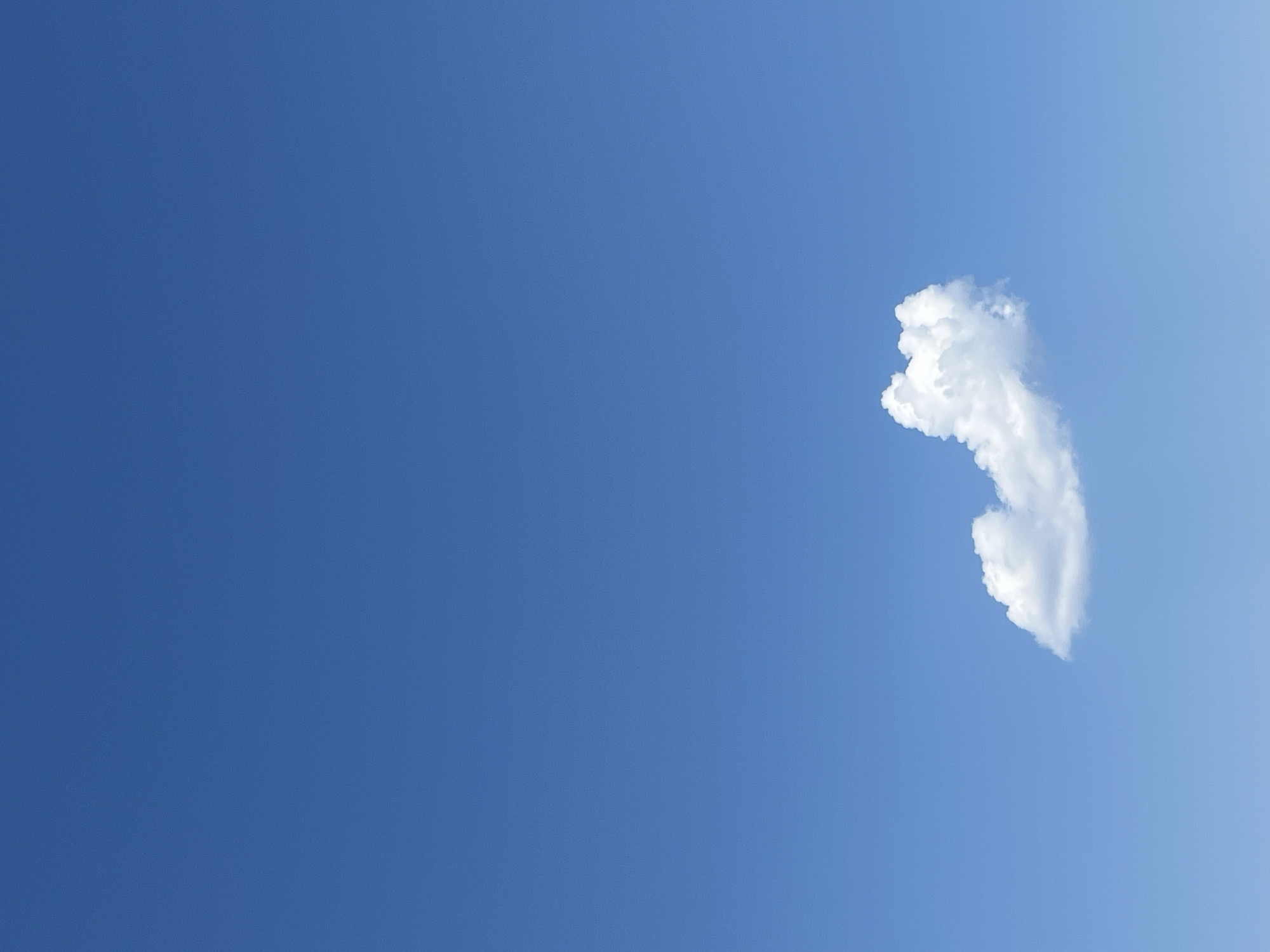 A single, isolated white cloud is positioned in the upper right portion of a deep blue sky. The sky transitions slightly to a lighter shade of blue towards the right side of the frame. There are no visible people, objects, or actions other than the presence of the cloud. The environment is simply a clear, blue sky. The location is unspecified but can be found in the city of Chaikovsky, Russia.