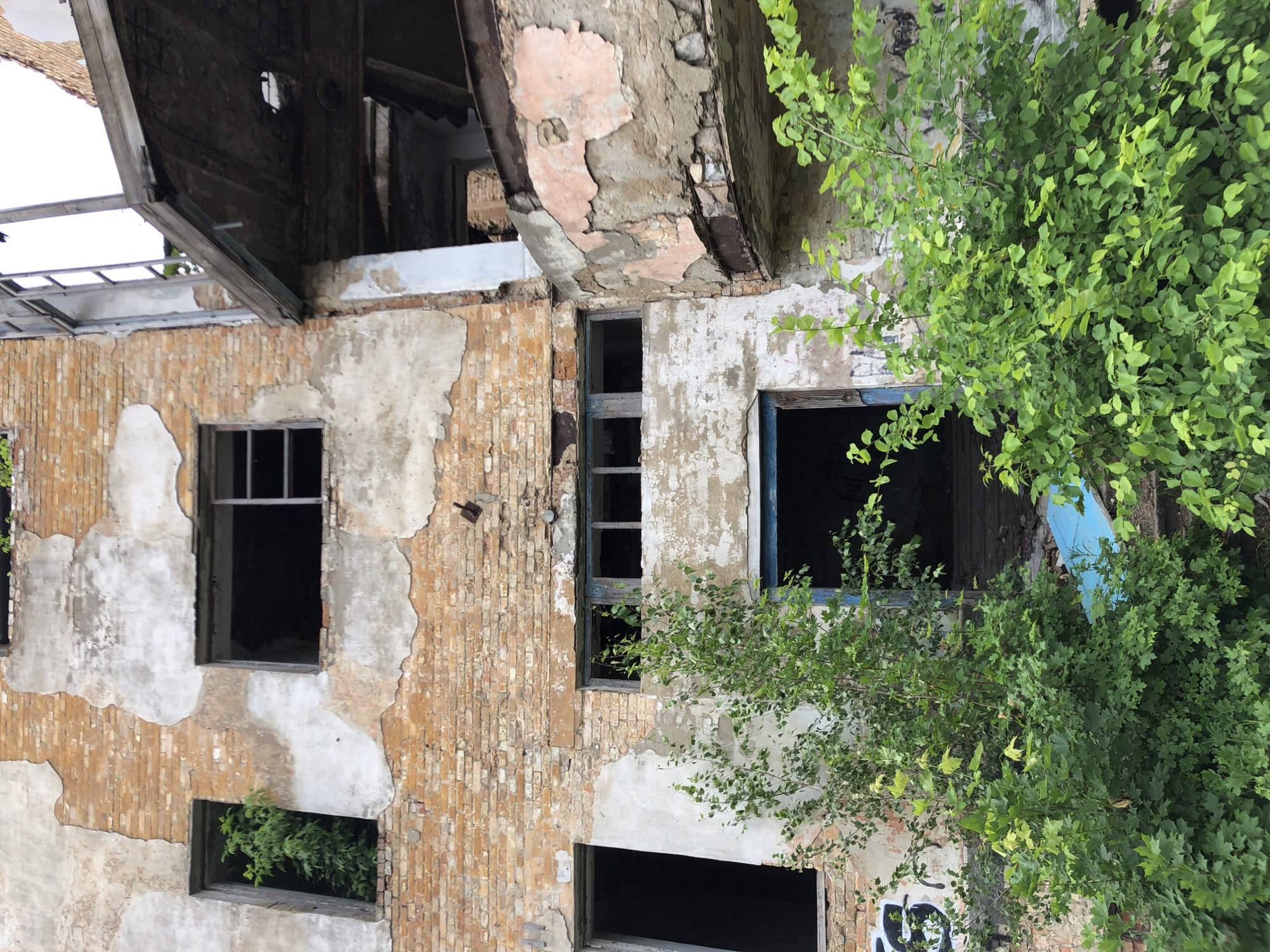 The image shows the exterior of a derelict building, likely an abandoned factory or apartment complex. The brick walls are crumbling, with large sections of plaster missing, exposing the underlying brickwork. Numerous windows are visible, most of them empty or boarded up, with some showing signs of decay. Overgrown vegetation, including trees and bushes, encroaches on the building, with some plants growing through broken windows and doorways. Graffiti is visible on some of the exterior walls. The overall impression is one of decay and neglect. There are no people or animals present in the image. The location is described as Unknown, Unknown, suggesting a lack of specific identifying information.