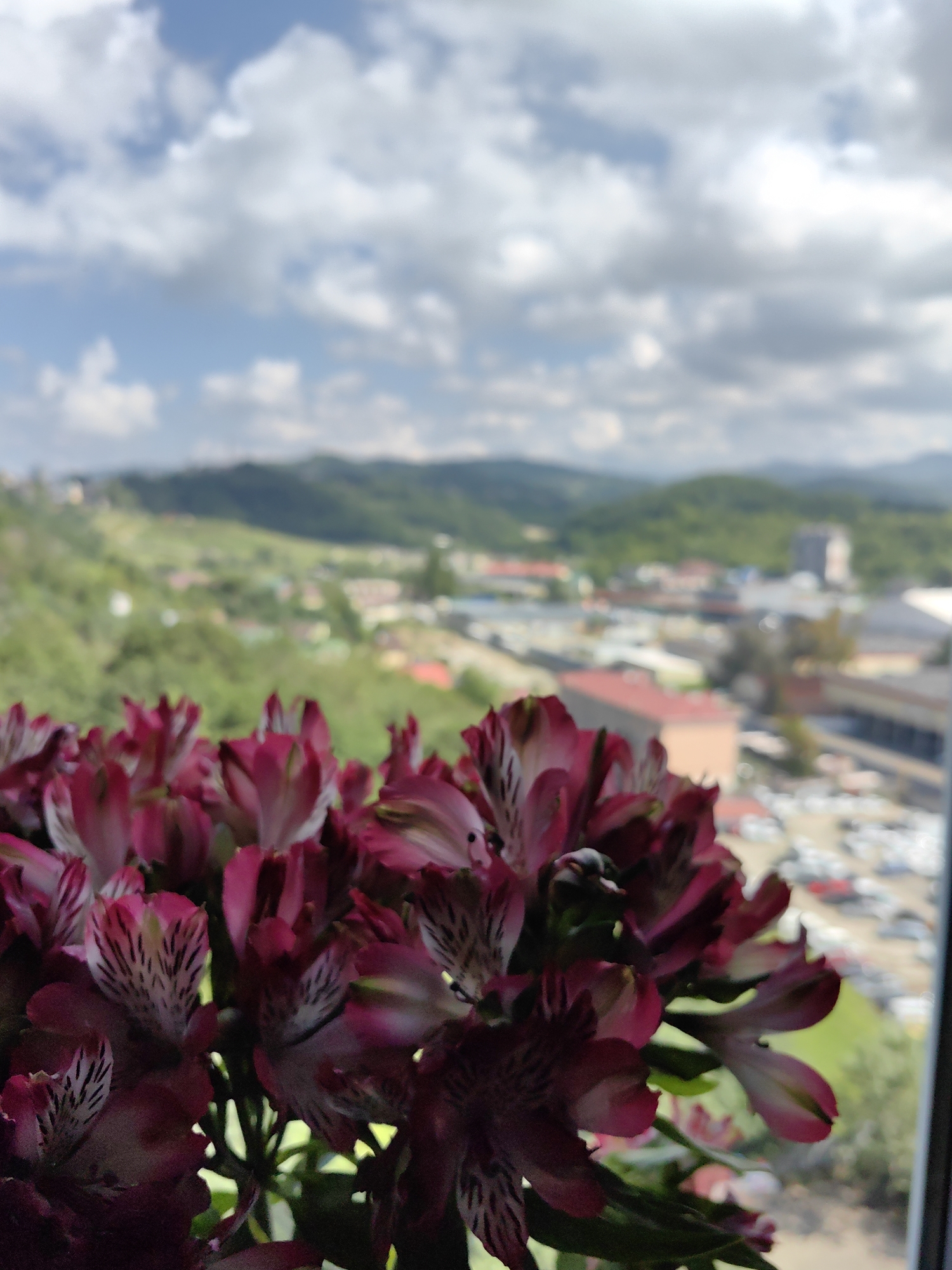 A bouquet of dark pink alstroemeria flowers is in the foreground, with their petals slightly blurred. Behind the flowers, a city with buildings and a parking lot is visible, set against a backdrop of rolling green hills under a partly cloudy blue sky. The scene appears to be a view from a window or balcony overlooking a town, possibly Sochi, Russia, given the verdant landscape and architecture. The image is taken during the daytime, with soft natural light.