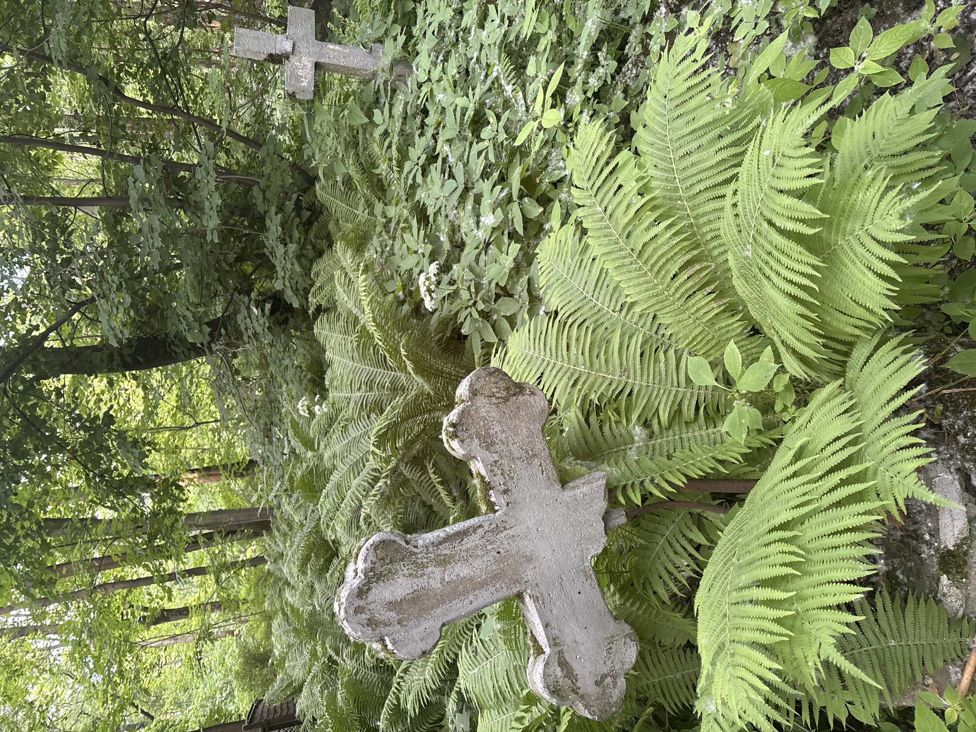 The image shows a cemetery in a wooded area. In the foreground, a concrete cross-shaped monument covered in moss is surrounded by ferns. In the background, another stone cross is visible. The location is the Ligovsky Cemetery in Saint Petersburg, Russia. The scene is peaceful and overgrown with vegetation, suggesting it is an older and less maintained part of the cemetery. There are no people or animals visible in the image.