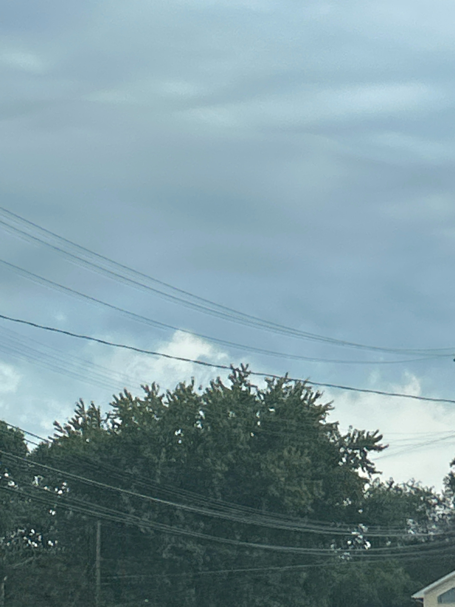 The image shows a slightly overcast sky with thin, wispy clouds stretching horizontally. Below the sky, several power lines are strung across the frame, appearing as dark, thin lines against the lighter sky. In the foreground, the tops of dense, green trees are visible. The trees are full of leaves and appear to be mature. The overall impression is of an outdoor scene, likely in a suburban or semi-rural area, given the presence of both trees and power lines. The location is identified as Robinson Township, United States of America.