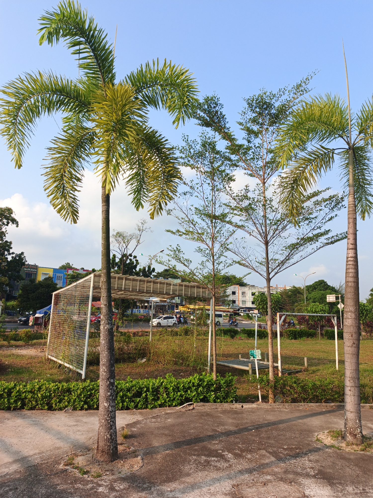 The image depicts an outdoor scene in Batam, Indonesia. In the foreground, there are two palm trees and a concrete walkway. Behind the walkway, there is a grassy area with some exercise equipment, a soccer goal, and a low hedge. In the middle ground, a street runs parallel to the grassy area, with several cars and motorcycles visible. Beyond the street, there are buildings, including a colorful, multi-story structure. The sky is blue with some scattered clouds. The overall impression is a public space in an urban or suburban environment.