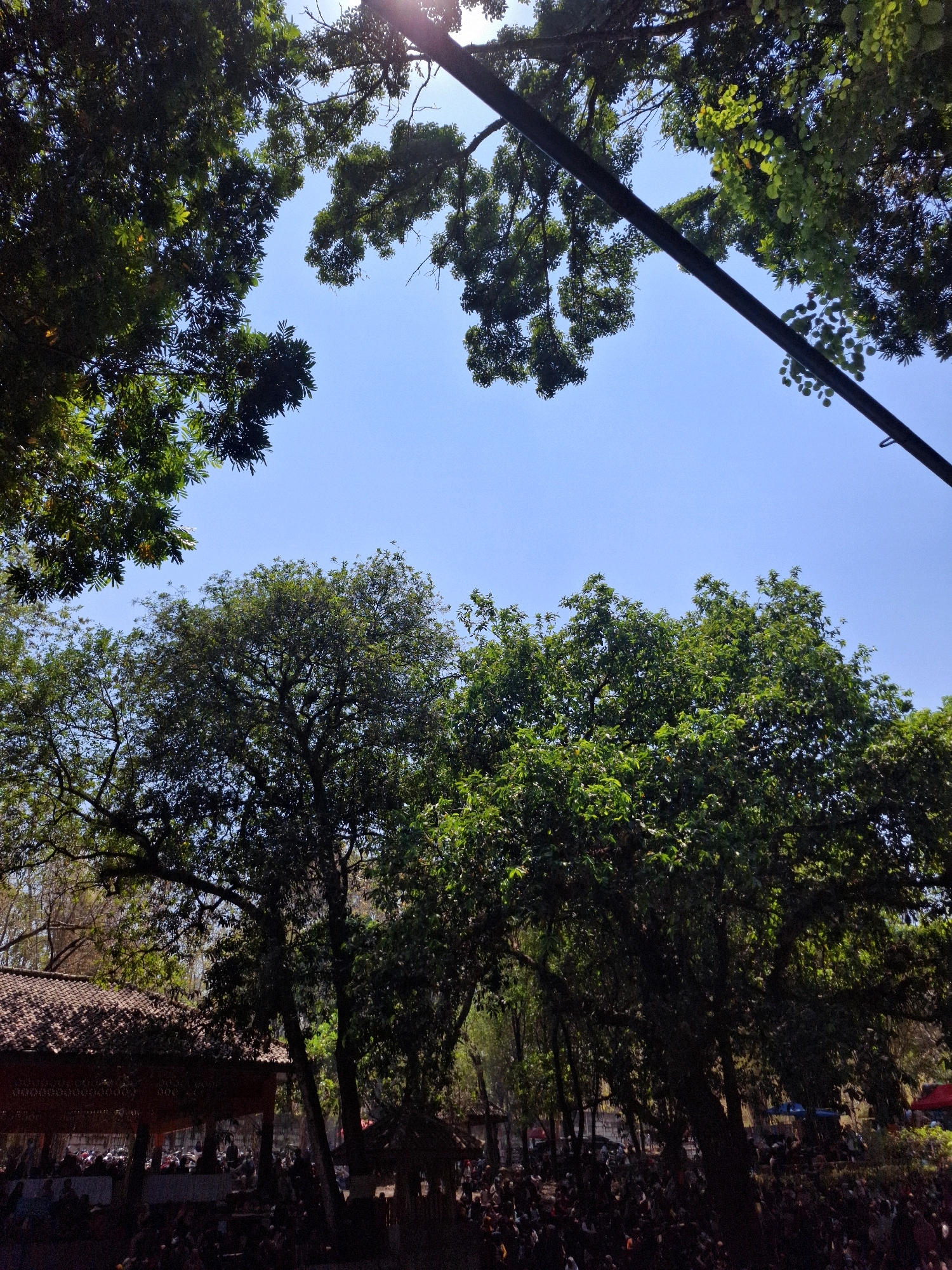 In the city of Tawun, Indonesia, the image captures an outdoor gathering beneath a clear blue sky. Lush green trees dominate the foreground and frame the scene, with their branches reaching towards the sky, dappled with sunlight. In the lower left of the image, a traditional building with a tiled roof provides shade. Beneath this structure and extending outwards, a crowd of people is gathered, their figures mostly obscured by shadow. The atmosphere appears to be one of communal activity, possibly a local event or market, with the natural environment playing a significant role in the setting. The presence of a dark pole or structure stretching diagonally across the upper portion of the frame suggests it is an elevated element within the outdoor space.