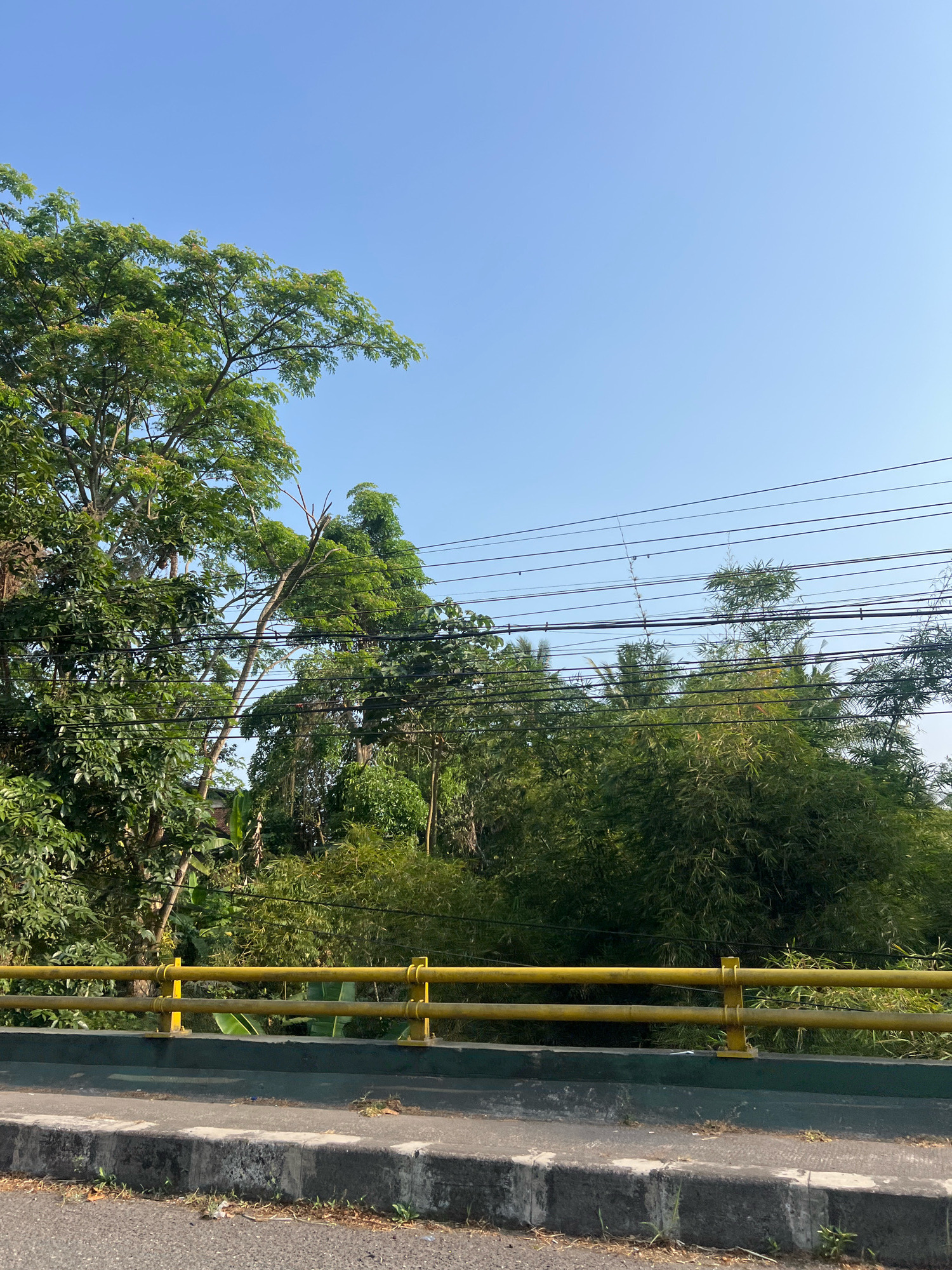 The image depicts a roadside view of lush green foliage and a bright blue sky. In the foreground, a grey asphalt road is visible, bordered by a concrete curb. Behind the curb, a yellow metal guardrail spans horizontally across the frame. Beyond the guardrail, dense vegetation, including trees and bamboo, creates a vibrant green backdrop. Several black electrical wires are strung across the upper portion of the scene, disappearing into the trees. The overall impression is one of a natural landscape adjacent to a road, bathed in sunlight. The scene appears to be located in Donokerto, Indonesia, as indicated by the context provided.