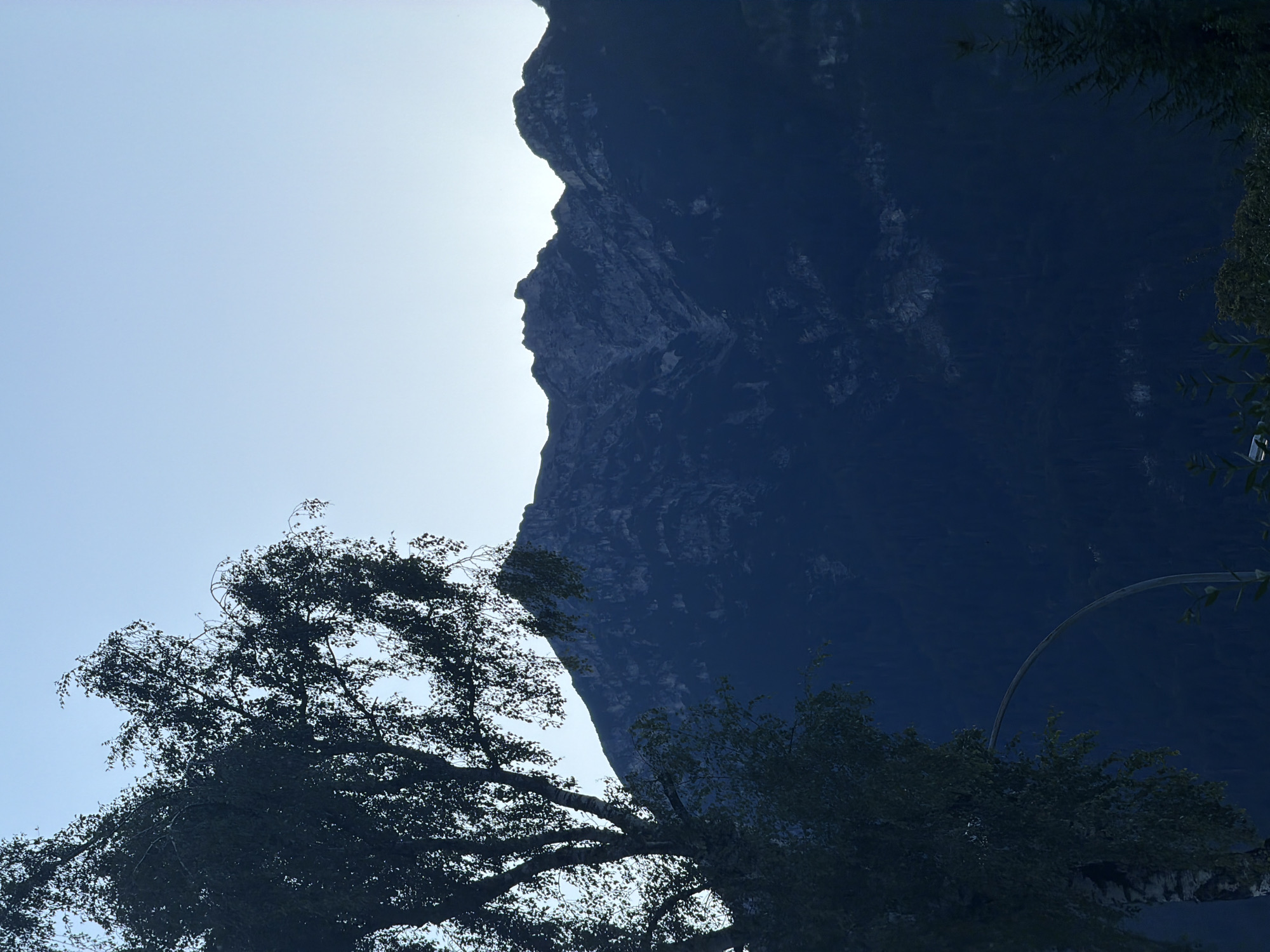 The image depicts a serene mountain landscape at dusk, likely near Garmisch-Partenkirchen, Germany, given the characteristic Alpine scenery. In the foreground, a silhouetted tree with delicate leaves dominates the left side of the frame, its branches reaching towards the pale, gradient sky. Behind the tree, a majestic mountain range rises, its jagged peaks sharply defined against the fading light. The mountains are covered in dark vegetation, with visible rock formations and ravines etched into their slopes. A subtle, curved light pole is partially visible in the lower left quadrant, suggesting a human-made element within the natural setting. The overall atmosphere is tranquil, characterized by muted colors and the soft transition from twilight to night.