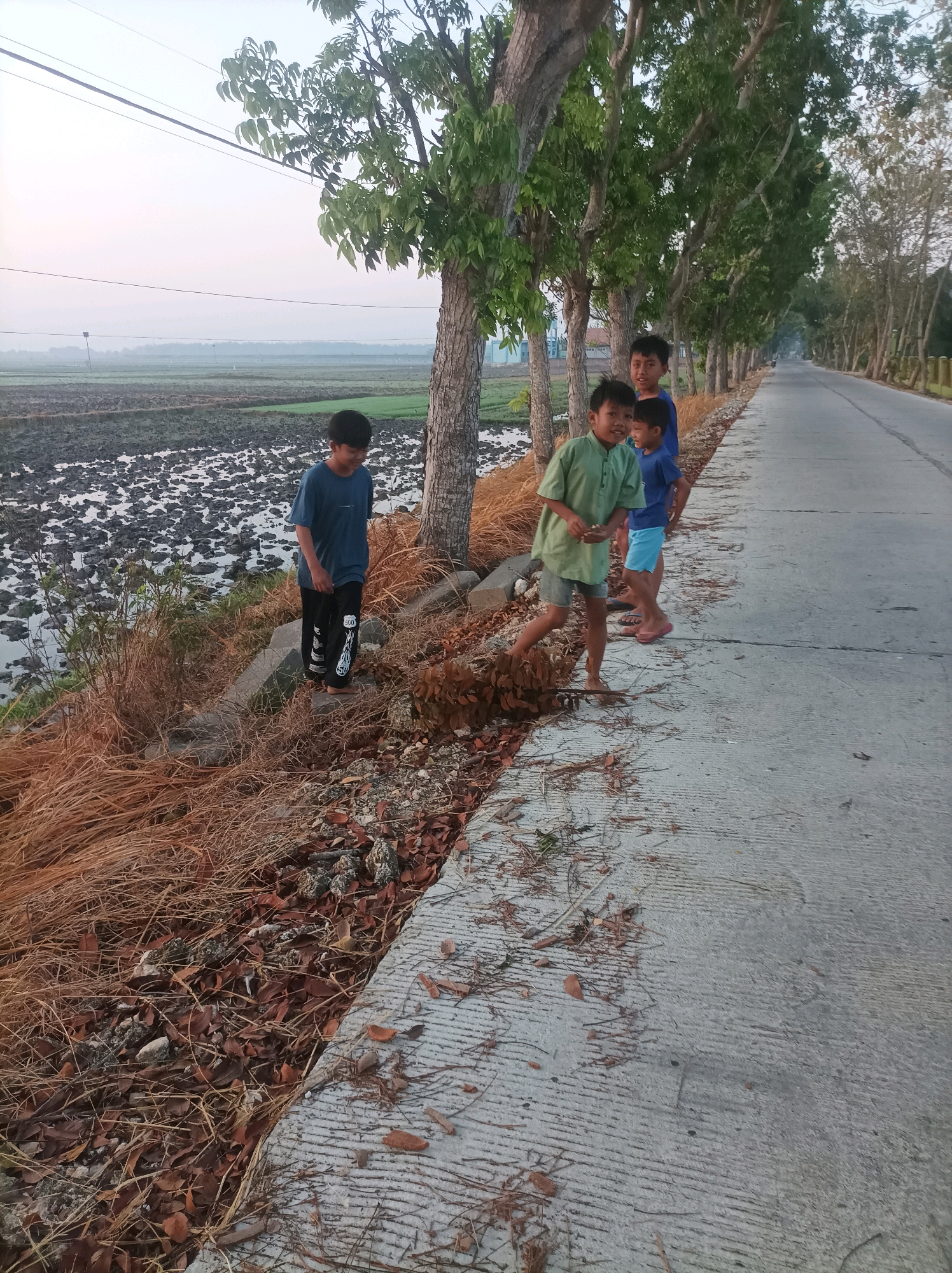 A group of four young boys are standing on the side of a paved road in Canga'an, Indonesia, during the late afternoon. The boys are of varying ages and are dressed in casual clothing. To the left of the road is a flooded rice paddy field, and to the right, the road stretches into the distance, lined with trees. The sky is overcast, suggesting the end of the day. The boys appear to be interacting with each other, with some looking at the camera and others engaged in conversation. The scene depicts a typical rural landscape in Indonesia, with a focus on the daily lives of the children.