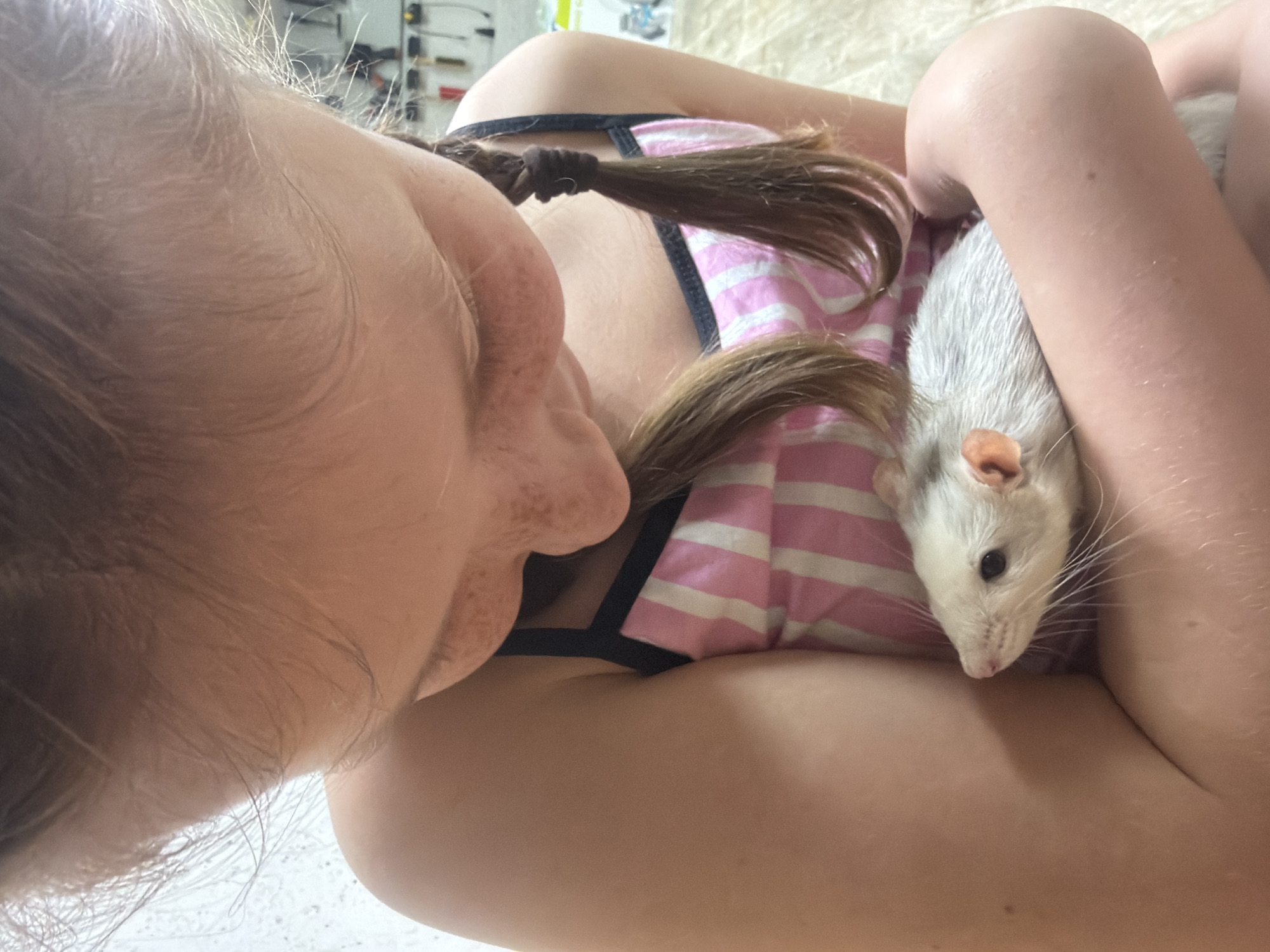 A young person is holding a white rat. The person has brown hair pulled back in a braid. They are wearing a pink and white striped top with black straps. The rat is nestled between the person's chest and arms. The background is blurred. There is no indication of location.