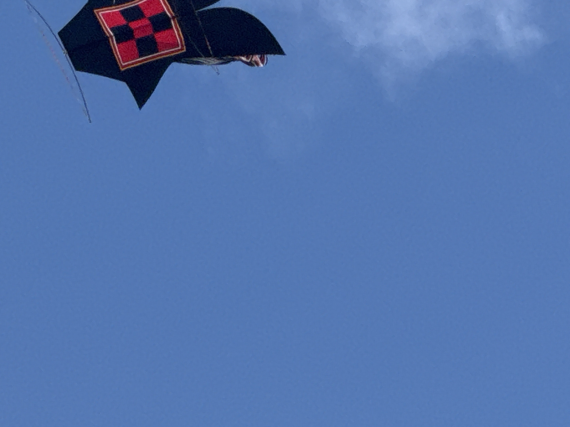 An intricately designed kite, primarily black with a central red and black checkered pattern outlined in gold, soars against a clear blue sky. The kite appears to be of a traditional or cultural design, possibly a Rokkaku or similar fighting kite. A segment of a person's arm and hand, wearing a red and white striped garment, is visible near the bottom of the kite, suggesting someone is holding or controlling it. The background is a vast expanse of blue sky, with a faint wispy cloud formation visible in the lower right quadrant. The image does not provide specific location details within Denpasar, Indonesia, other than the general environment of an outdoor setting with a clear sky suitable for kite flying.