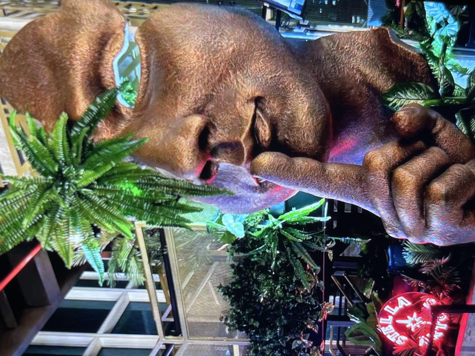 The image features a close-up of a large, textured sculpture of a face, oriented sideways. The sculpture is a warm, earthy brown with a rough, almost bark-like texture. It appears to be a stylized representation of a human face, with prominent features like a nose and lips. One hand, also part of the sculpture, is raised to the face, with a finger touching the nose area, in a gesture that could imply quietness or thought.
The sculpture is surrounded by lush green artificial foliage, resembling ferns and other leafy plants, which create a jungle-like atmosphere. In the background, glimpses of a building or interior space can be seen, with geometric window frames and some structures that suggest an urban or indoor setting.
There is a neon sign visible in the lower right portion of the image. The sign is circular and illuminated in red, with white lettering that appears to spell out "VILLA STELLA" or a similar combination of words. The overall impression is of an artistic installation, possibly in a restaurant, bar, or public space, with an emphasis on a natural yet stylized aesthetic. The lighting in the scene includes pink and purple hues, suggesting it might be evening or that the space is artificially lit for ambiance. No weather conditions are visible.