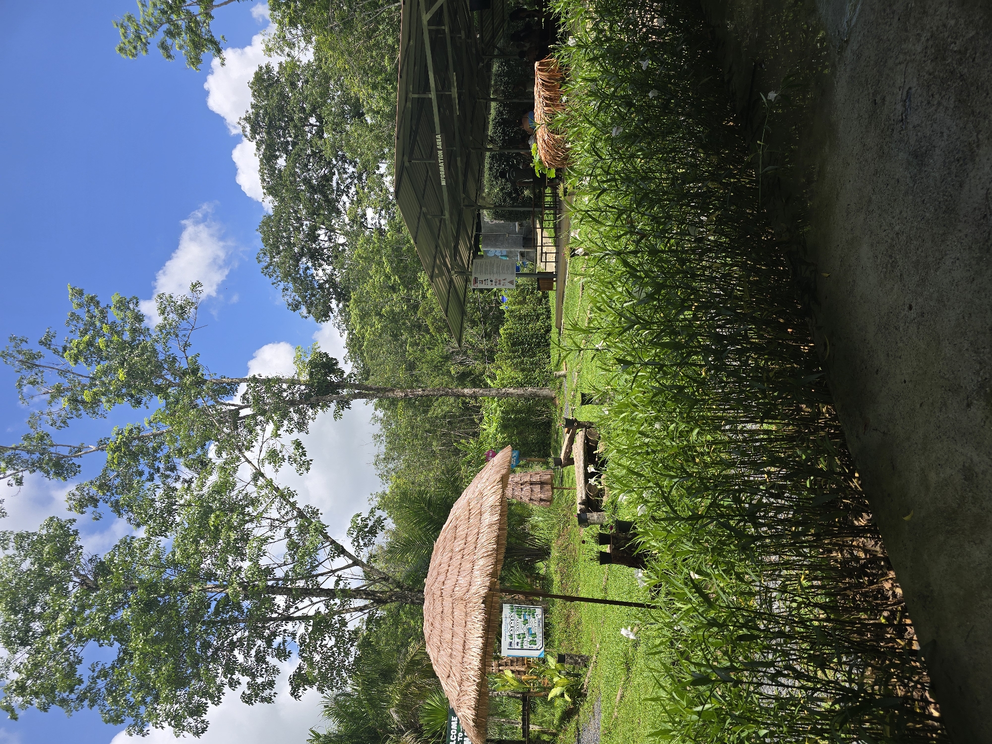The image shows a tropical outdoor setting. On the left, there's a clear blue sky with scattered white clouds, visible through the foliage of tall trees. Below the trees, a small thatch-roofed hut stands in a grassy area. Nearby, there's a sign displaying information about the location. To the right, dense green vegetation grows alongside a paved pathway. In the background, a covered structure, identified as an "Information Area," is visible among the trees. The location is in the city of Unknown, Unknown.