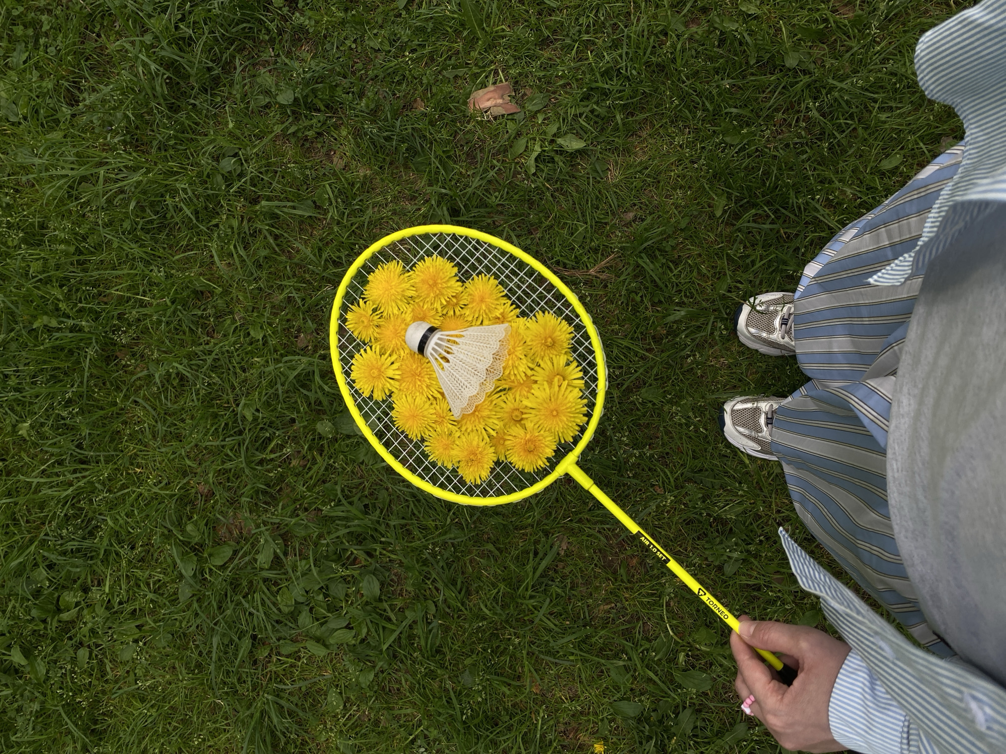 A person is standing on green grass and holding a yellow badminton racket. The racket contains a white shuttlecock and several yellow dandelion flowers. The person is wearing a striped shirt, gray pants, and gray sneakers. The location is a grassy area outdoors.