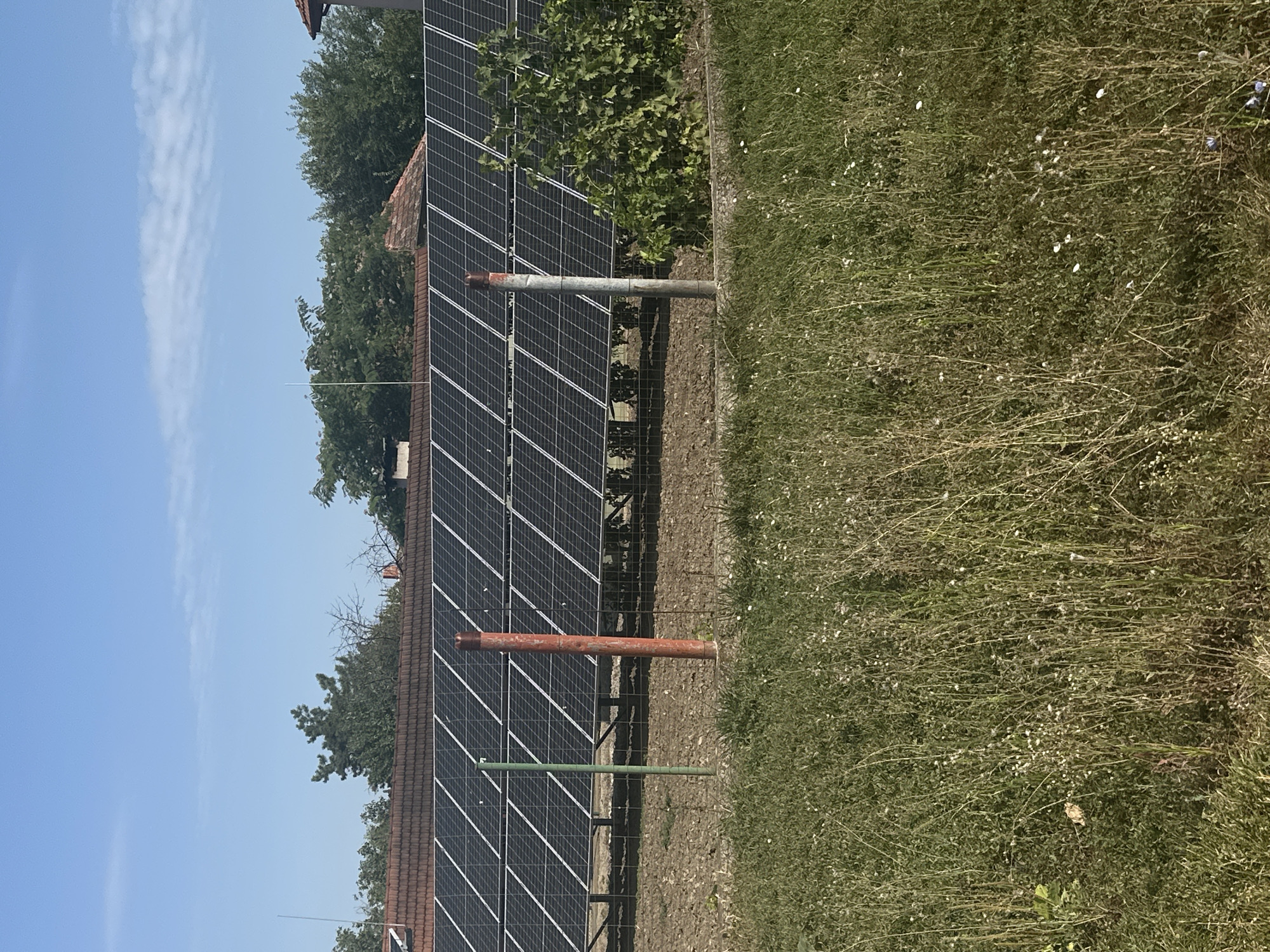 A long shot captures a row of solar panels angled towards the sun, set against a backdrop of tiled rooftops and dense green trees under a clear blue sky with wispy clouds. The solar panels are mounted on a raised platform with metal supports, and a wire mesh fence runs in front of them. Two distinct poles, one painted red and the other green, stand in the foreground near the fence. The ground in front of the solar panels appears to be dry, cultivated soil. In the immediate foreground, tall grass and weeds with small white flowers create a natural, unkempt border. The overall scene suggests an outdoor setting, likely in a rural or semi-urban area, possibly Galiche, Bulgaria, given the presence of residential-style roofing and vegetation. There are no people or animals visible in the image.