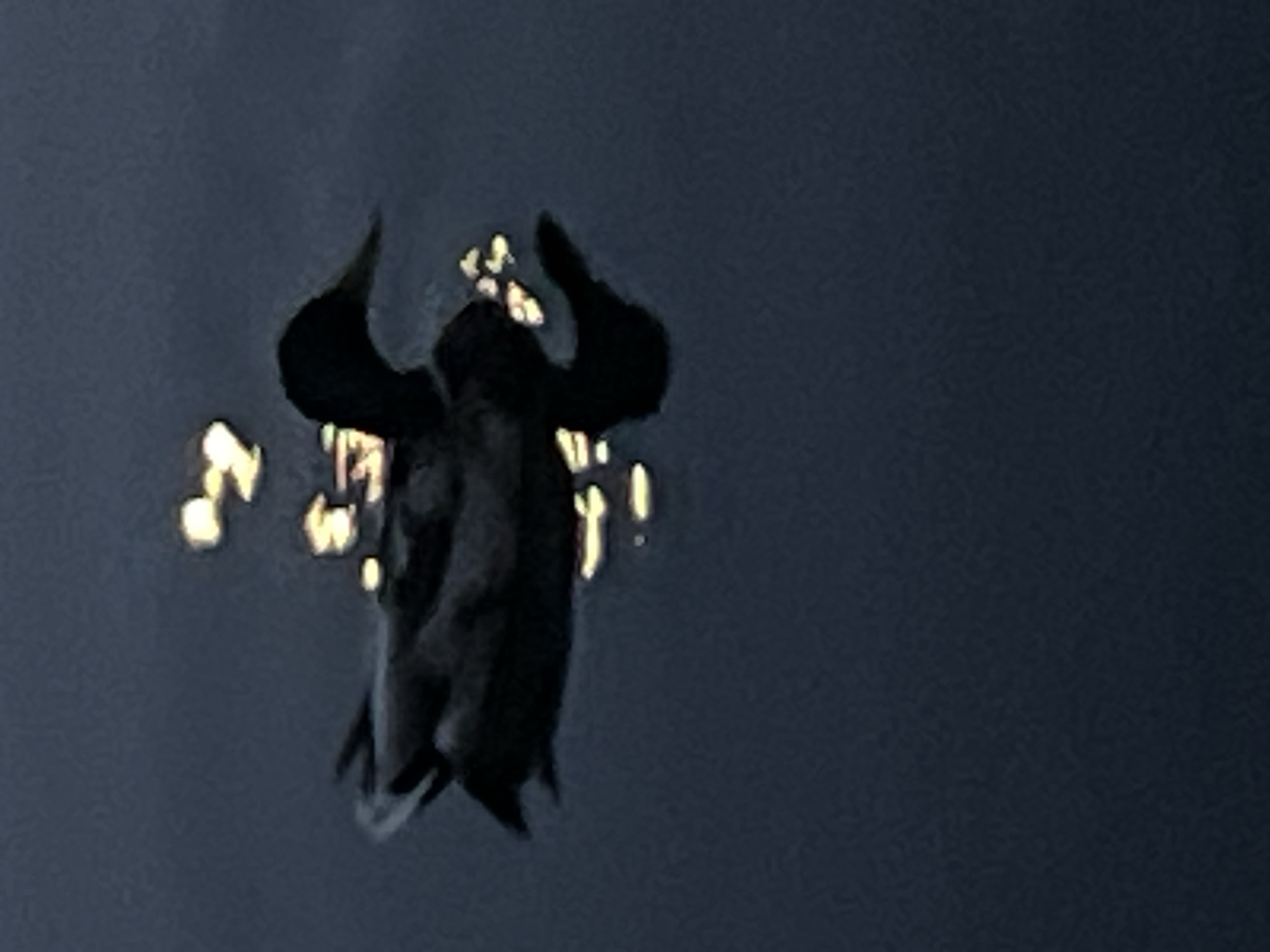 An out-of-focus, dark image shows a single duck swimming on dark water. The water reflects several bright, blurry specks of light, possibly from a light source or the moon. The duck is mostly silhouetted against the water, with its head and body clearly visible. The setting appears to be a body of water, possibly a pond or lake, in a natural or semi-natural environment. The location is specified as Ждановіцкі сельскі Савет, Belarus.