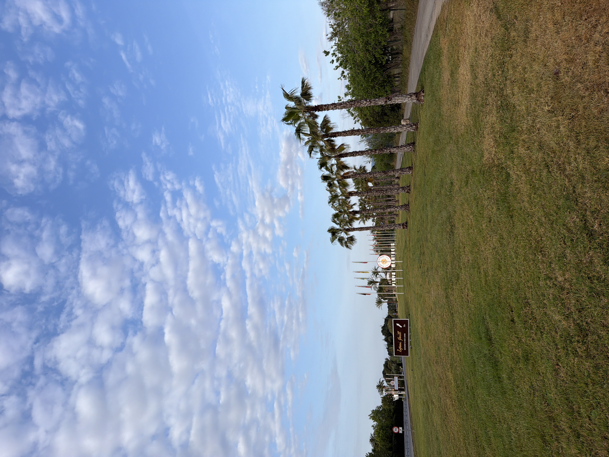 The image shows a grassy area bordered by a row of palm trees under a sky with scattered clouds. Located in Mont-roig del Camp, Spain, the scene includes a sign for "Espai Grill" and flags bearing local insignia. A road with traffic signs is visible in the distance, indicating a roadside location. The grass varies in color from green to brown, suggesting some dryness. There are no people visible in the image.