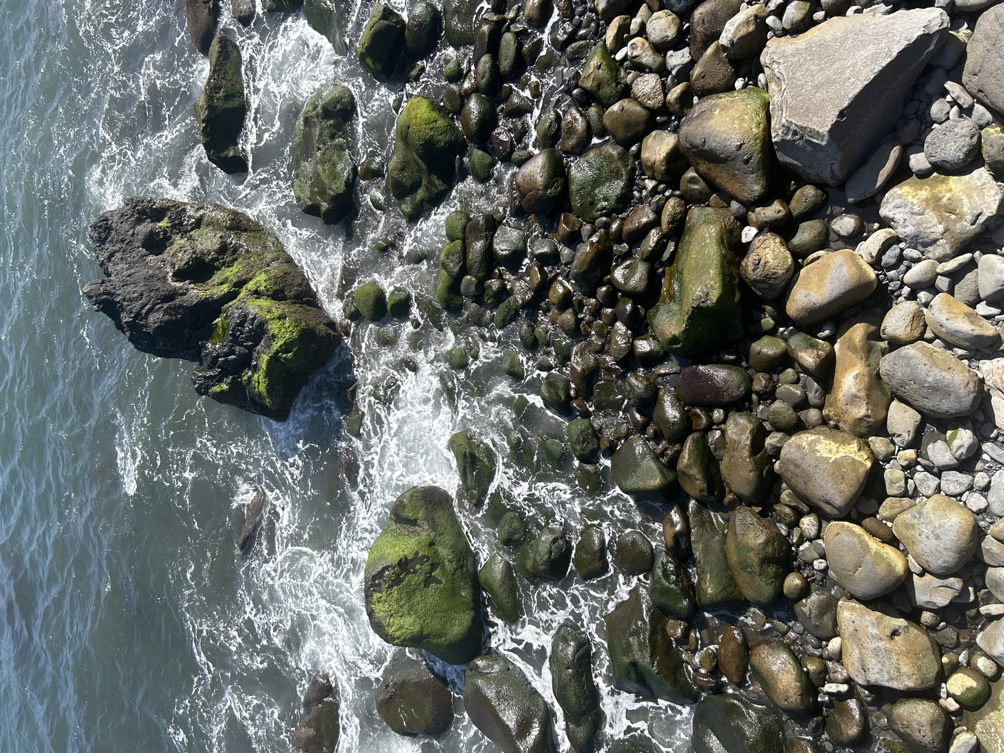 The image depicts a rocky coastline, likely at or near Funchal, Portugal, as the location is specified. The scene consists of an aerial shot looking down onto the water's edge. A variety of rocks, ranging in size from small pebbles to large boulders, are visible. Some of the rocks are covered with green algae or moss, while others are bare. The water is churning around the rocks, creating white foamy waves. The overall tone is natural and somewhat rugged.