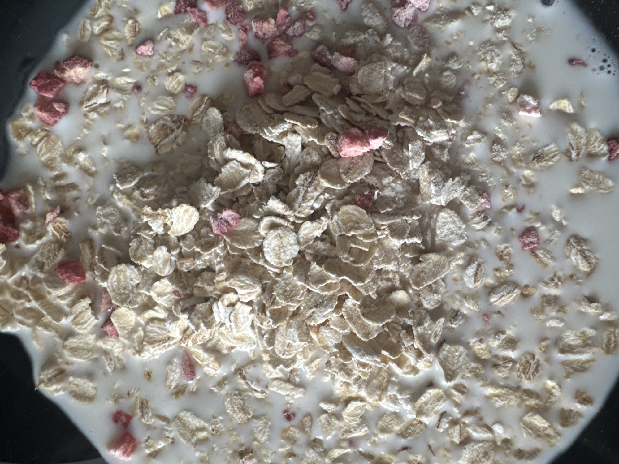 This is a close-up, overhead shot of a bowl of oatmeal with milk and freeze-dried raspberries. The oatmeal is a light tan color and appears to be rolled oats. The milk is white and creamy, partially submerging the oats. Scattered throughout the bowl are small, irregular pieces of bright pink freeze-dried raspberries. The texture of the oats is clearly visible, with some pieces appearing slightly softened by the milk. The raspberries are more intensely colored and have a slightly crystalline appearance. The image is well-lit, with some subtle shadows that highlight the textures of the food. The background appears to be a dark, non-reflective surface, likely the interior of a bowl. The scene is devoid of any human presence or other extraneous elements. The photograph captures a simple, appetizing breakfast preparation. There is no identifiable location in Novoaltaysk, Russia, or any other city.