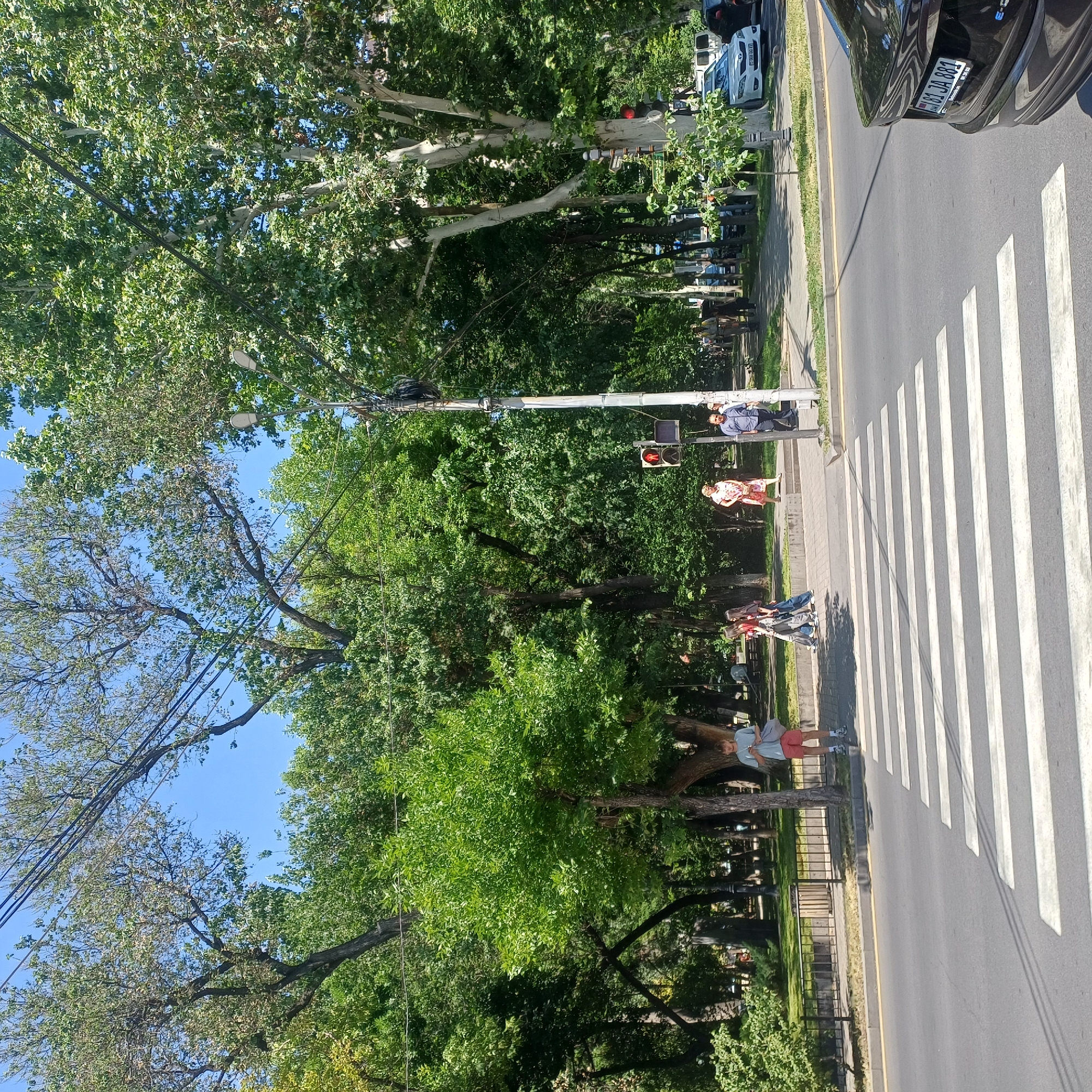 In an outdoor urban scene, a crosswalk is prominently displayed in the foreground on a paved road with yellow lane markings. Beyond the crosswalk, a sidewalk lines a park area filled with mature trees and green grass. Several individuals are visible, some crossing the street at the crosswalk, while others are walking on the sidewalk. A traffic light shows a red pedestrian signal. The sky above is clear and blue, and trees with lush green foliage dominate the background, creating a shaded, park-like atmosphere. Vehicles are present on the road and parked on the side. A black car with an Armenian license plate is partially visible on the right. The overall impression is a sunny day in a city with significant green spaces.