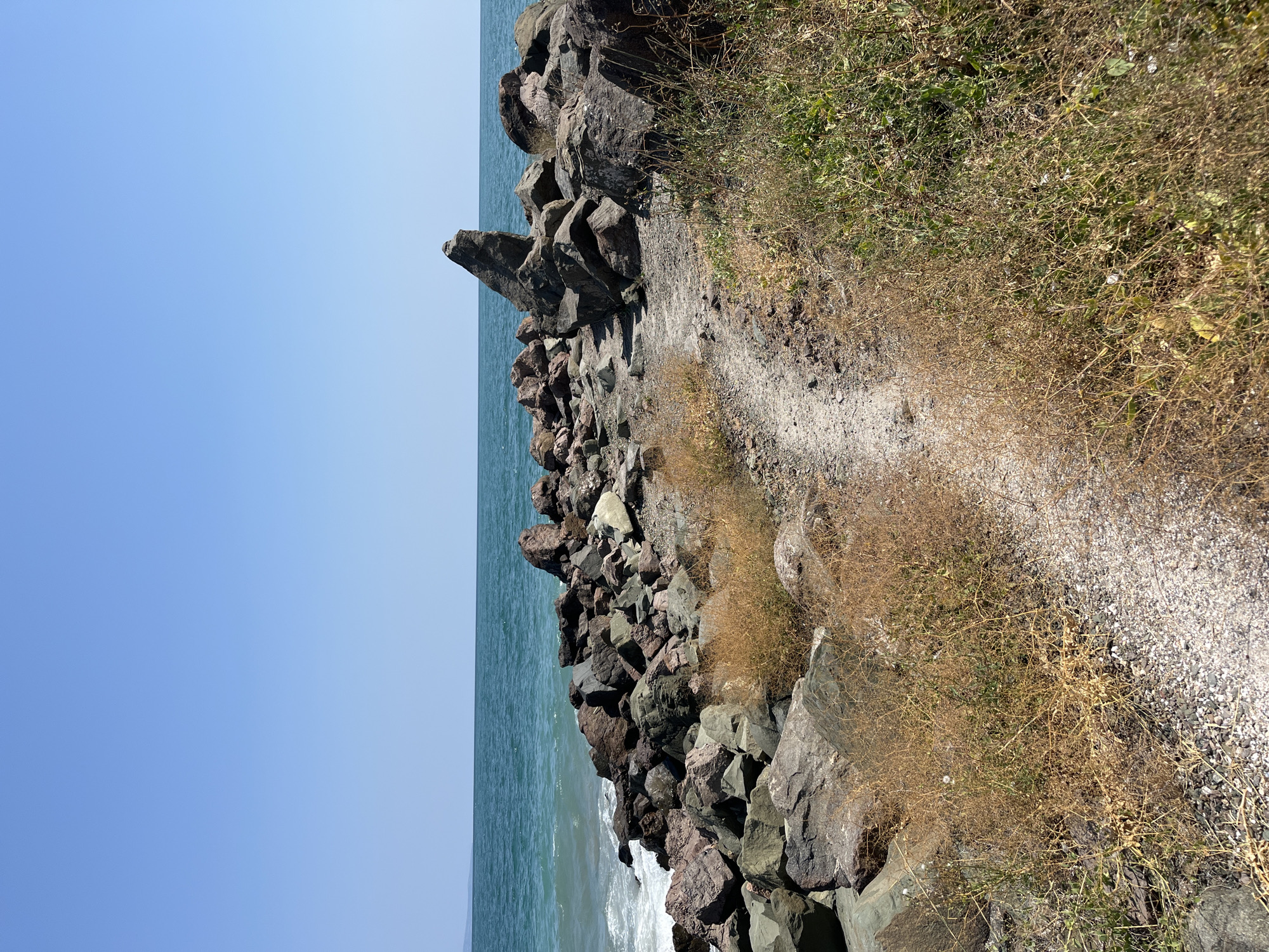 The image depicts a rocky shoreline with a dirt path winding through it, located in Pomorie, Bulgaria. The path is narrow and unpaved, with loose gravel and dry grass growing alongside it. The shoreline is composed of numerous large, dark-colored rocks of various shapes and sizes, some of which are covered in moss or lichen. The sea is visible in the background, with turquoise-colored water and small waves breaking against the rocks. The sky is a clear, bright blue. The overall scene is one of a natural, undeveloped coastline.
