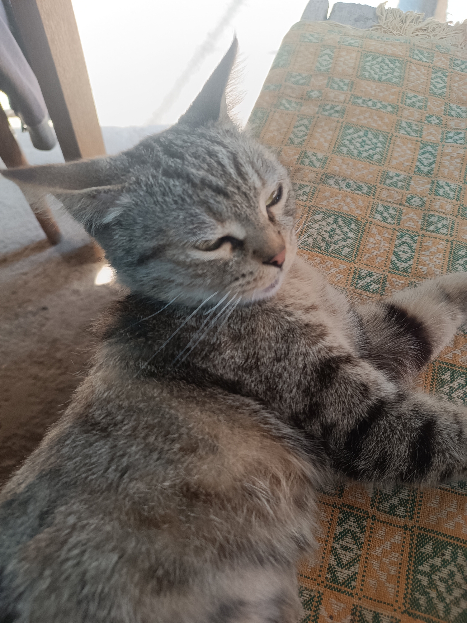 A grey tabby cat is lying on a patterned textile, possibly a blanket or cushion, which has a geometric design in green and yellow. The cat is facing to the left, with its eyes partially closed, suggesting it is relaxed or sleepy. Sunlight is casting a bright glare from the upper left side of the image, illuminating the cat's fur and the background. Part of a wooden chair leg is visible in the far left background. The scene appears to be outdoors or near an open window, given the strong natural light and the hint of outdoor furniture. The image is a close-up, focusing on the cat. The location is Vypasne, Ukraine.