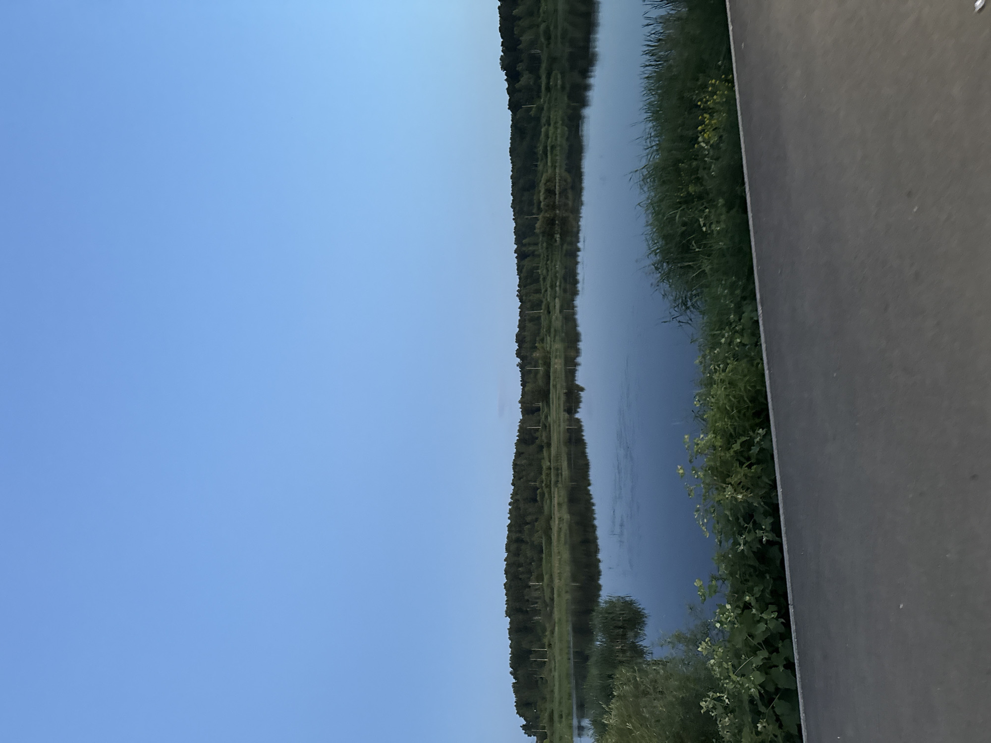 The image depicts a calm body of water, likely a lake or river, reflecting a clear blue sky and a dense line of trees on the opposite bank. The water's edge in the foreground is lined with green reeds and bushes, with a paved walkway or path running along it. The overall scene suggests a natural landscape within or near a city, possibly a park or recreational area. Based on the visual cues of a large body of water bordered by dense forest and a paved pathway, this scene is consistent with locations found in and around Miass, Russia, particularly areas that offer access to natural beauty for the public.