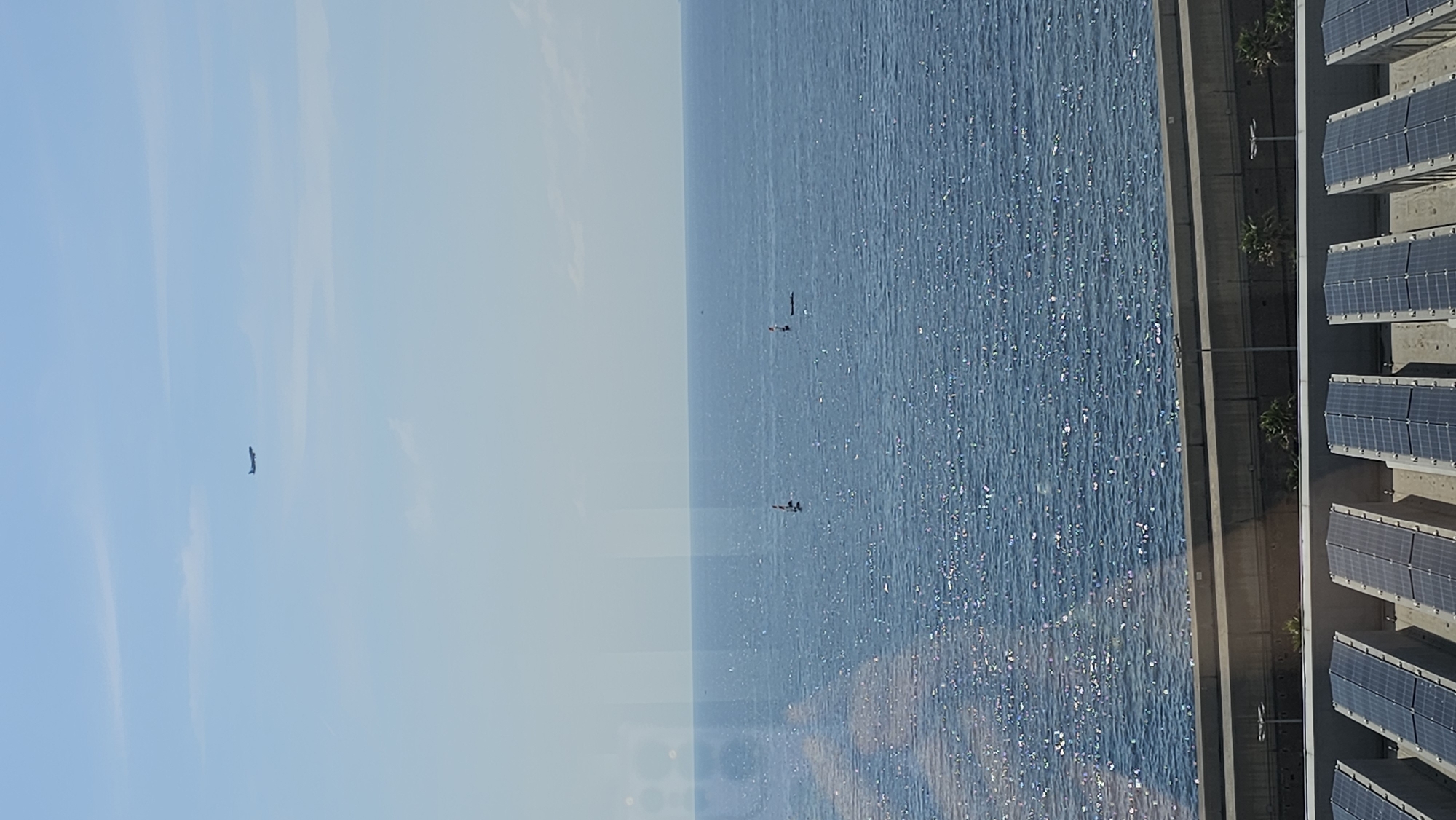 This image depicts a water scene in Barcelona, Spain. The sky is clear and blue. There is water with light reflecting on it, giving it a sparkling appearance. A structure with solar panels is visible on the right side of the image. There are boats visible on the water and a plane is visible in the sky. The scene also includes buildings with palm trees in the foreground.