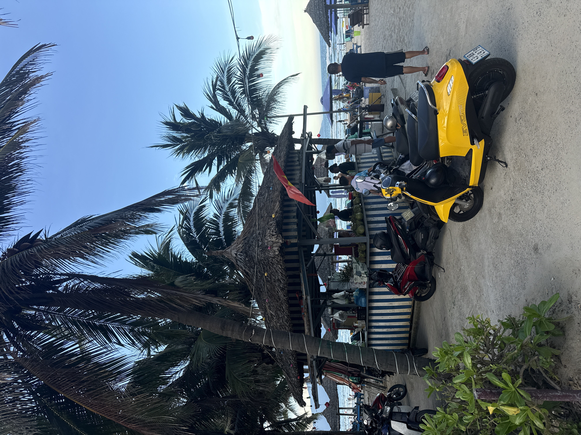 A sunny, outdoor scene depicts a beach in an unknown city. A yellow scooter is parked on a concrete surface to the right, next to a beachside shelter constructed with a thatched roof and blue and white striped siding. People are gathered at the shelter, and several scooters are parked nearby. Palm trees are prevalent in the foreground, partially obscuring the sky. The beach is visible in the background, with additional thatched umbrellas and a few individuals.