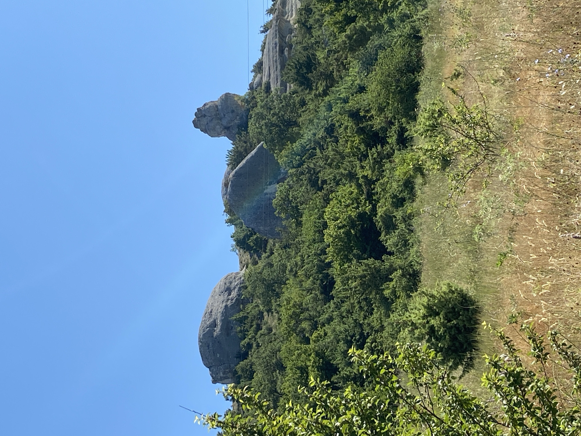 The image depicts a sunlit, dry, hilly landscape under a clear blue sky. Large, weathered rock formations are scattered across the higher elevations, some appearing as rounded boulders and others as more rugged, sculpted shapes. The slopes are densely covered with green trees and shrubs, primarily evergreen varieties, creating a textured, verdant contrast with the rocky outcrops. In the foreground, the terrain transitions to dry, golden-brown grasses and scattered, smaller green bushes, suggesting a semi-arid or Mediterranean climate. A single, thin dark line, likely a wire, is visible against the sky in the upper right portion of the frame. No people or animals are present in the scene. The overall impression is one of a natural, remote, and somewhat rugged outdoor environment.