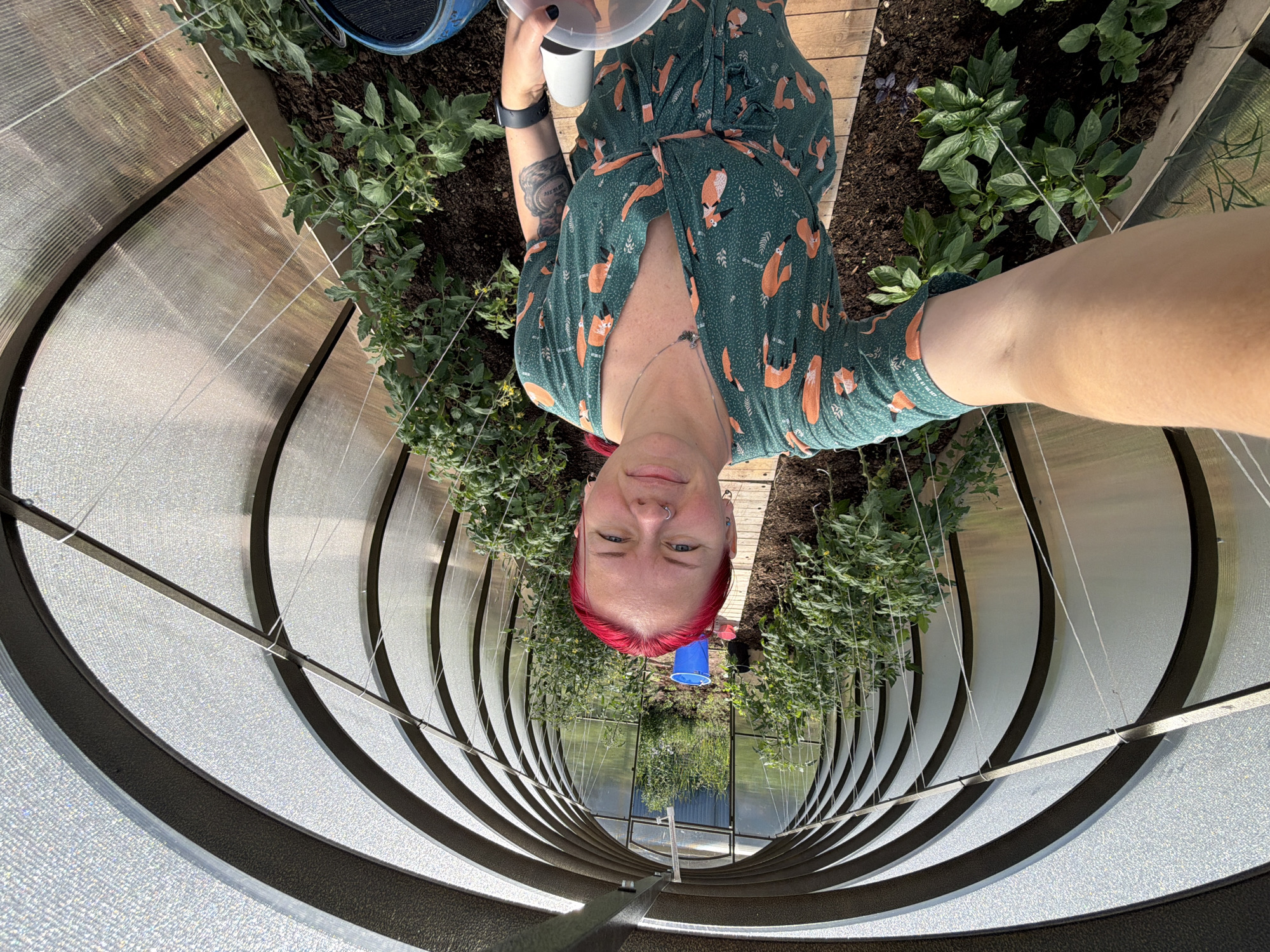 A woman with bright red hair, wearing a green dress with a fox pattern, stands in a greenhouse, taking a selfie. She is holding a white plastic container and a blue object is partially visible in the lower right corner. The greenhouse has a tunnel-like structure with arched supports and translucent walls. Rows of green plants, likely tomatoes and peppers, are growing in the soil on either side of a wooden walkway where the woman is standing. In the background, a blue bucket and other gardening tools are visible. The scene appears to be outdoors on a sunny day. The greenhouse is likely located in Chaikovsky, Russia, based on the image's metadata.