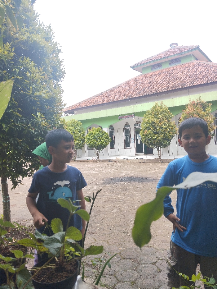 Memory