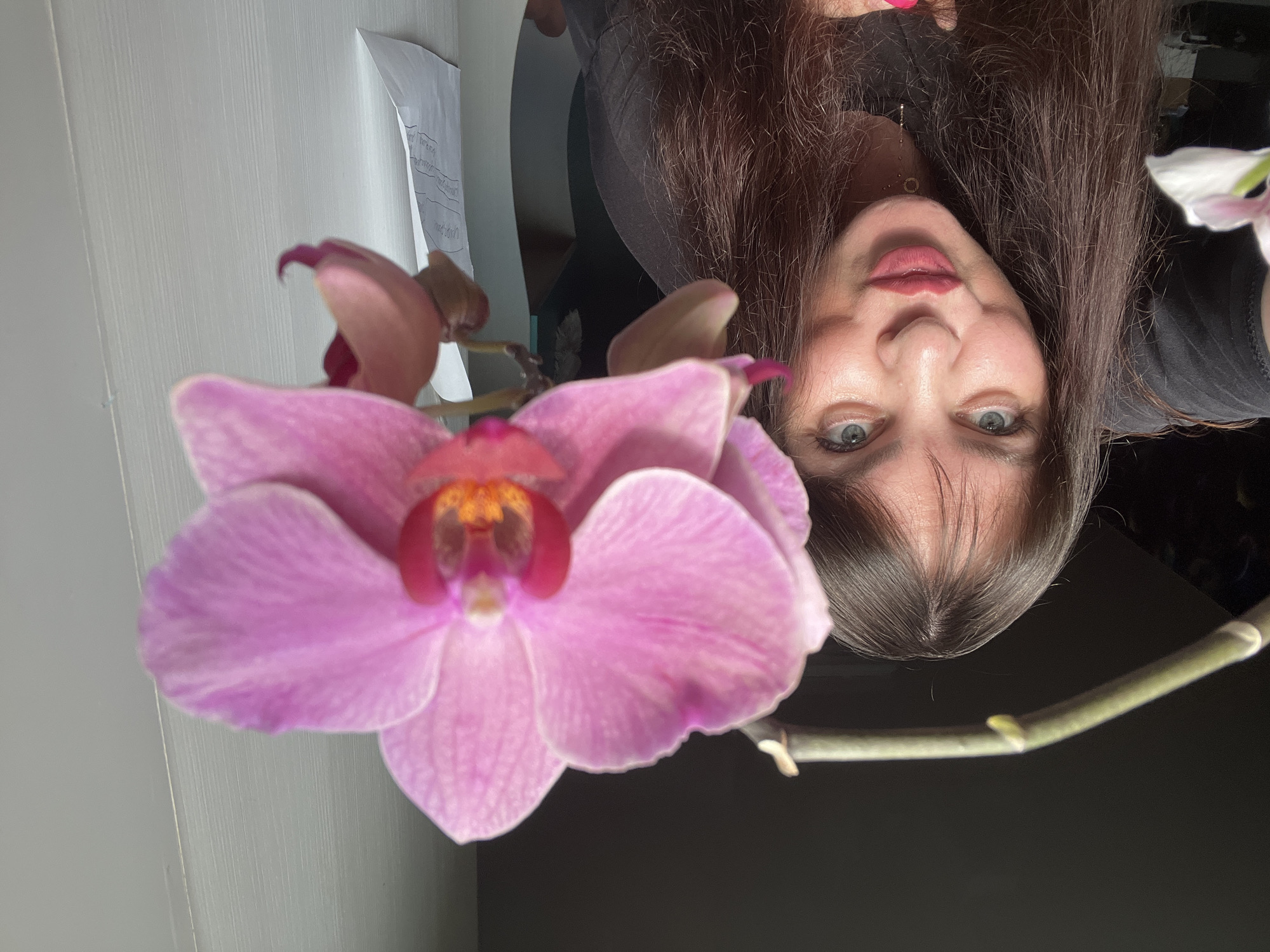 A close-up, brightly lit indoor scene features a woman and a vibrant pink phalaenopsis orchid. The woman, with long, dark brown hair, blue-grey eyes, and fair skin, is positioned in the right half of the frame, looking directly towards the viewer. She wears a dark top and pink lipstick, and a gold-colored necklace is visible. Her expression appears neutral. Dominating the left half of the frame is a large pink orchid blossom with a striking dark red and orange center, appearing sharply in focus. Several smaller orchid buds and blooms are visible behind it. The green stem of the orchid extends from the bottom right towards the center.
The background on the upper left shows a light-colored, vertically paneled wall or door, to which a crumpled piece of white paper with illegible handwritten text is affixed. The rest of the background, primarily on the lower right, is dark and indistinct, suggesting a shadowed interior. The image captures an intimate moment, possibly a selfie, with the woman and the flower in close proximity. The soft lighting illuminates both subjects clearly, highlighting the orchid's delicate petals and the woman's features. The setting is an indoor environment, potentially a home in Noviy, Russia.