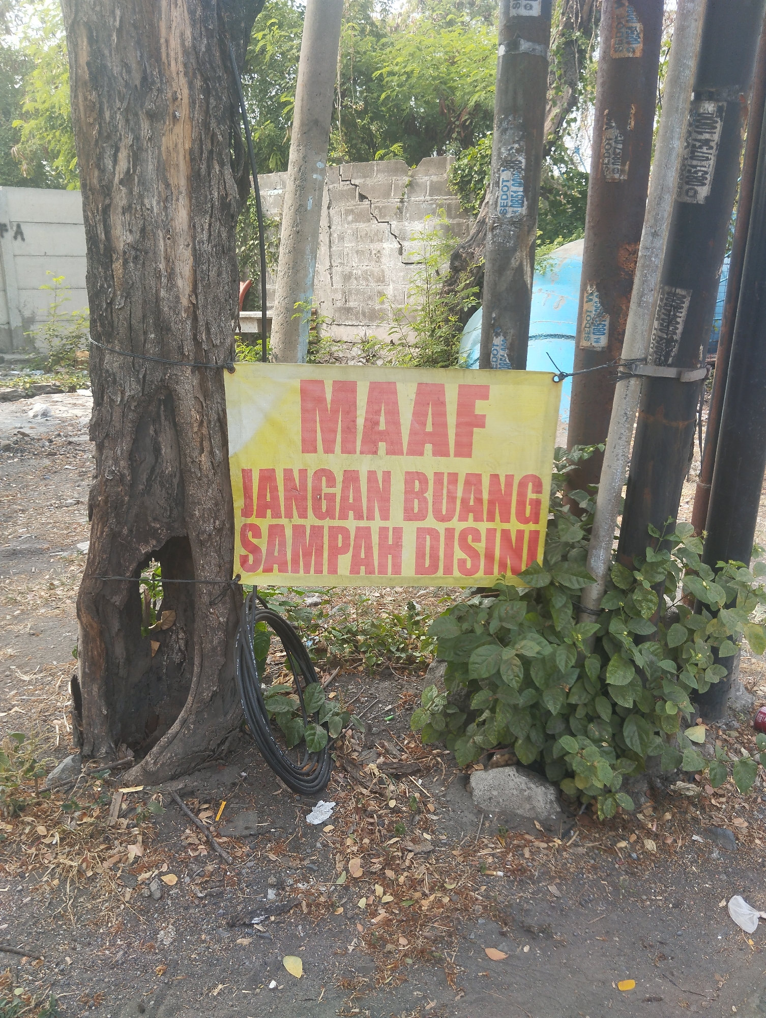 The image depicts a yellow banner with red text affixed to a tree trunk near several utility poles. The banner reads "MAAF JANGAN BUANG SAMPAH DISINI," which translates from Indonesian to "SORRY, DO NOT LITTER HERE." The tree trunk has a large, dark opening near its base. The ground surrounding the tree and poles is covered in dirt, dry leaves, and some debris, including a coiled black cable. The background shows a cracked brick wall, more utility poles, and lush green foliage. The scene appears to be an outdoor urban environment. The context of Surabaya, Indonesia, is provided, suggesting this is a common type of public signage in that region.