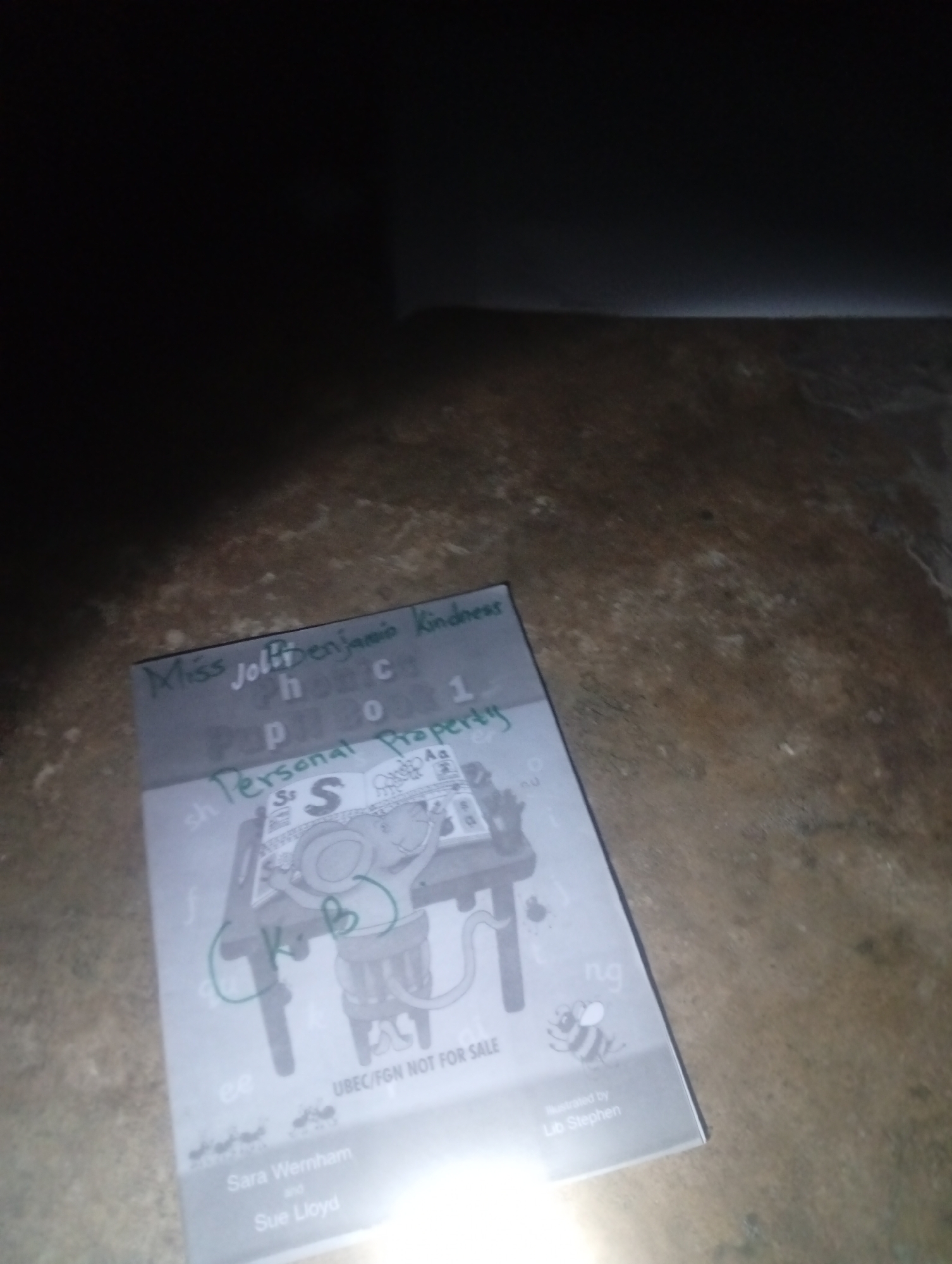The image shows a book, possibly for children, lying on a textured, dark-colored surface, which appears to be a floor. The book is mostly gray and white, with some handwritten markings in green and what appears to be blue. The title of the book seems to be "Personal Property" and the names "Sara Wernham" and "Sue Lloyd" are visible at the bottom, along with "Illustrated by Lib Stephen." There is an illustration of a mouse character and some other elements on the cover. The lighting in the image is dim, with a bright light source illuminating parts of the book from the right. The overall scene is a close-up shot of the book and the surface it rests on. There is no indication of the city of Jalingo, Nigeria in the image.