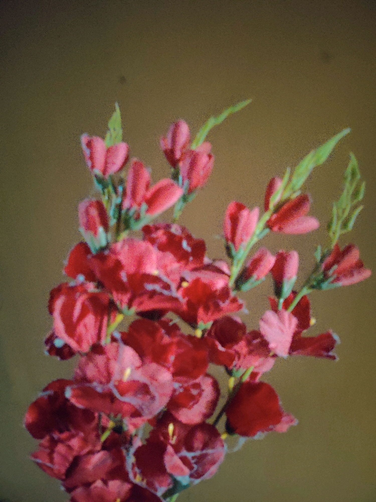 The image is a close-up, blurry photograph of a cluster of red flowers with green stems and leaves against a mottled brown background. The flowers appear to be arranged in a bouquet, with some blooms fully open and others still in bud. The lighting is diffused, and the overall impression is soft and artistic, rather than sharp and detailed. There is no discernible information in the image that would indicate a specific location in Nathpur, India, or any details about people, actions, or interactions. The image is solely focused on the floral subject.