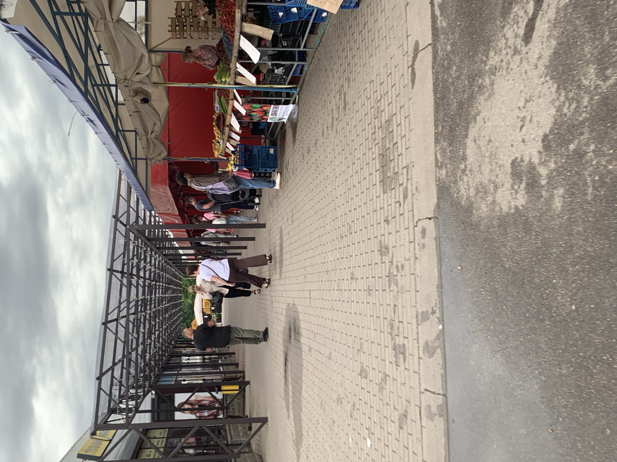 The image depicts an outdoor marketplace with stalls selling produce. The market is covered by a series of metal and plastic awnings, forming a covered walkway. The ground is paved with brick tiles.
In the foreground, to the left, is a section of a wet asphalt road. To the right, the paved walkway is visible with some puddles of water.
Further into the marketplace, several people are seen walking and browsing. On the left, a man in a dark shirt and green pants stands facing away from the camera. To his right, a woman in a light-colored jacket and dark pants is talking on her phone, and another woman in a white shirt and brown pants walks past. Further down the walkway, more people are visible, some in the process of shopping or interacting with vendors.
The stalls on the right side of the image are laden with fruits and vegetables, including strawberries, blueberries, grapes, and cucumbers. The stalls are covered with fabric awnings.
In the background, there are buildings and more market stalls. The sky is overcast with grey clouds.
Based on the signage visible, such as "СТОЛОВАЯ" (which translates to "canteen" or "cafeteria" in Russian) and "ДОБРАЯ ЕДА" (which translates to "good food" in Russian), this marketplace is likely located in the city of Minsk, Belarus. The architectural style of the market structure and the signage are consistent with typical market setups found in Belarus.
