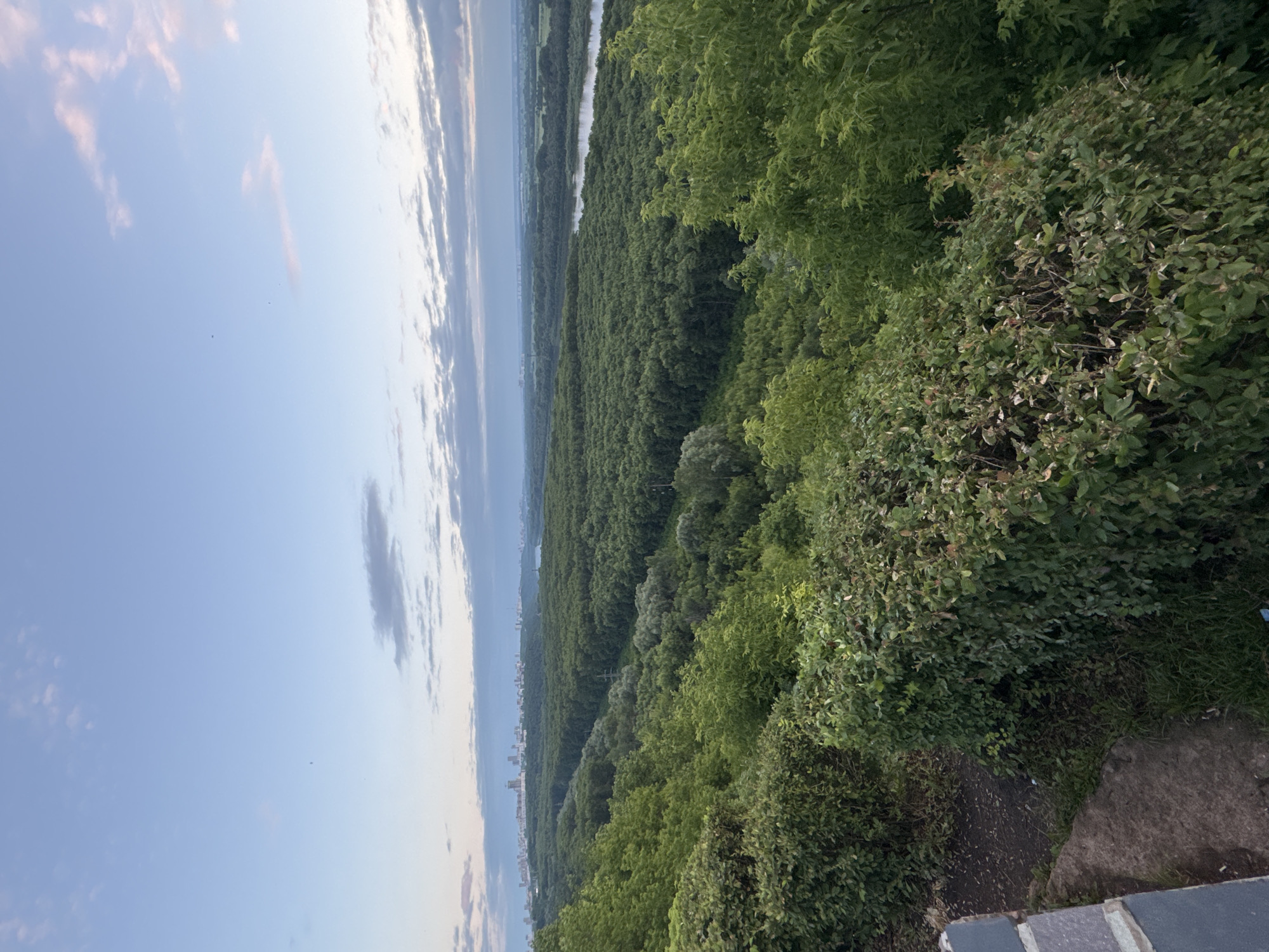 A panoramic landscape photo taken from a high vantage point showcases the city of Ufa, Russia, nestled amidst a vast expanse of lush green forest and a winding river. The sky above is a soft, dusky blue, with scattered clouds tinged with pink and gray, suggesting either dawn or dusk. In the foreground, a dense cluster of green bushes creates a natural border, with a paved pathway and some stone structures visible on the left. Beyond this, a rolling carpet of trees stretches out, their dense canopy concealing the terrain below. A wide river snakes through the landscape, reflecting the muted tones of the sky. In the distance, the Ufa cityscape emerges, a cluster of modern buildings and skyscrapers silhouetted against the horizon, indicating the city's integration with its natural surroundings. The overall impression is one of serene beauty, with the urban environment harmoniously coexisting with nature.