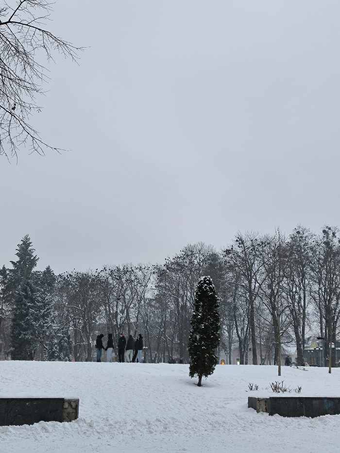 The image displays a snow-covered urban park in Vinnytsia, Ukraine, under a uniform overcast grey sky. The ground is uniformly covered in white snow. In the immediate foreground, two dark, rectangular, low-lying structures are partially visible, dusted with snow.
In the midground, a group of five to six individuals, clad in dark winter clothing, stands on a gentle snow-covered incline, appearing to be in conversation or interaction. To their right, a solitary, slender dark green coniferous tree, lightly dusted with snow, stands vertically.
Behind this group and tree, a dense line of bare deciduous trees forms a backdrop, their branches lightly covered in snow. Numerous small, dark figures, consistent with birds, are perched on these branches. Some deciduous trees exhibit clusters of parasitic growth, such as mistletoe. A larger, heavily snow-covered evergreen tree is visible on the far left. A bare branch from a deciduous tree extends into the upper left portion of the frame. Further in the background to the right, indistinct figures and a warm yellow light source are discernible.