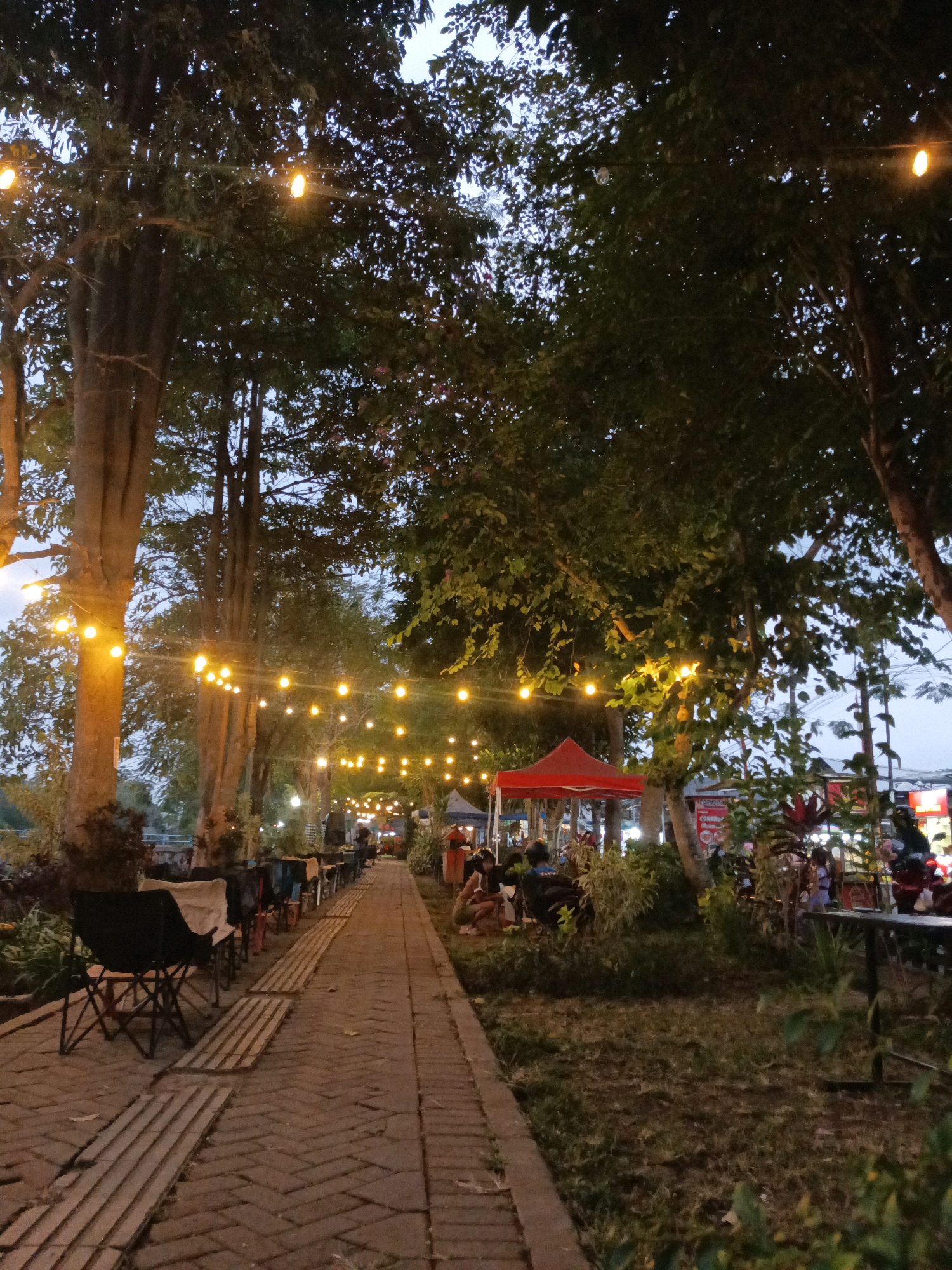 This image depicts an outdoor dining area at dusk, likely in Tulungagung, Indonesia, characterized by a pedestrian pathway lined with trees and illuminated by string lights. The pathway, paved with brick, runs diagonally through the frame from the lower left to the upper right.
Along the left side of the pathway, several empty folding chairs are set up, some on wooden planks. Beyond these chairs, trees with thick trunks dominate the scene, their branches extending upwards and casting shadows. More trees with foliage are visible further down the pathway on both sides.
The right side of the pathway reveals a seating area with people seated at tables. A red tent structure is also visible in this area, suggesting a vendor or food stall. Other stalls and possibly a motorcycle are partially visible in the background, indicating a commercial or recreational space. The overall atmosphere is relaxed and inviting, with the warm glow of the string lights creating a cozy ambiance. The sky is a dusky blue, hinting at the transition from day to night.