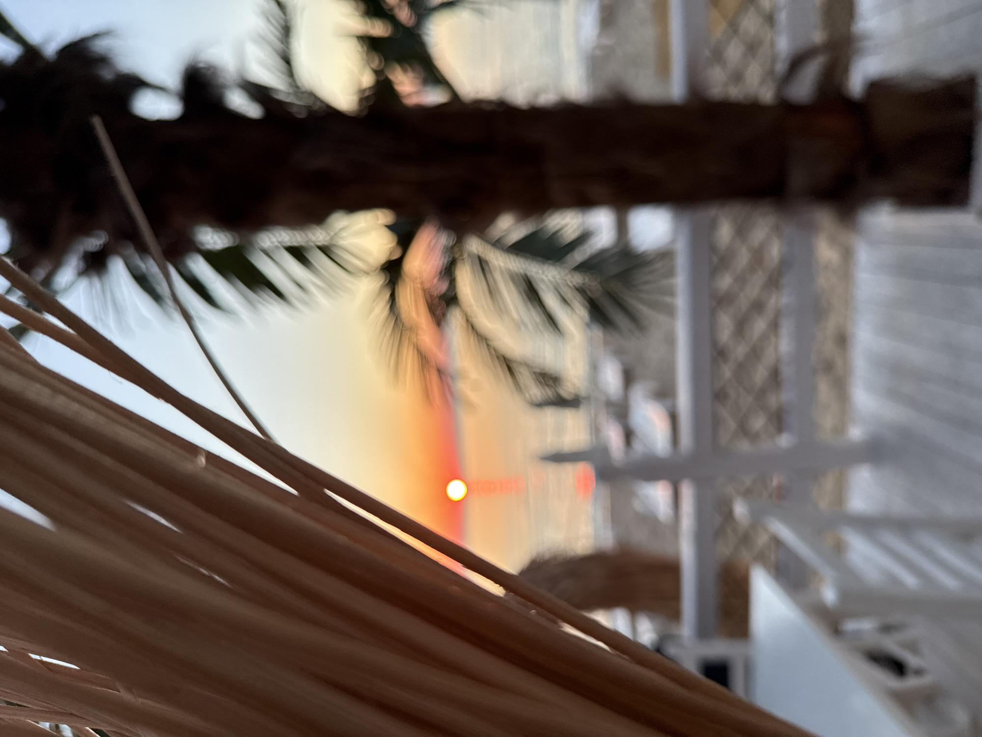 A sunset over the Black Sea is viewed through a thatched canopy in Shkorpilovtsi, Bulgaria. The foreground is dominated by the blurred texture of the canopy, which consists of vertical, straw-colored strands. To the right, a blurred palm tree stands tall, its fronds indistinct against the sky. The middle ground reveals a beach with white lounge chairs and umbrellas, also out of focus. A white railing separates this area from a blurred seating area with white tables and chairs in the immediate foreground. The sun, a bright orange orb, is partially submerged in the tranquil sea, casting a shimmering reflection. The sky transitions from a soft yellow at the horizon to a pale blue above.