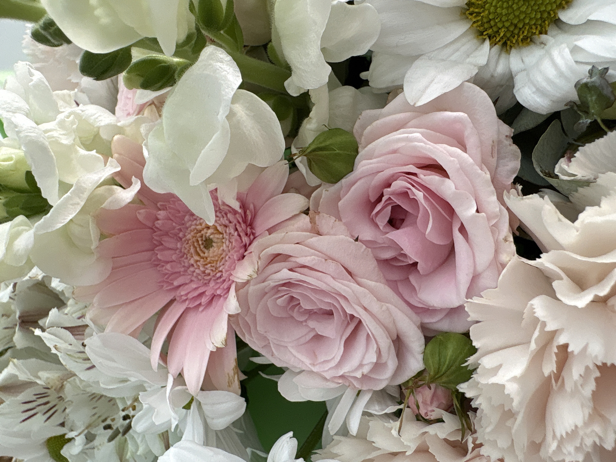 The image shows a close-up of a bouquet of flowers. The flowers include pink roses, a pink gerbera daisy, white snapdragons, white daisies, and white carnations. Green leaves are interspersed among the flowers. The location is not provided in the image.