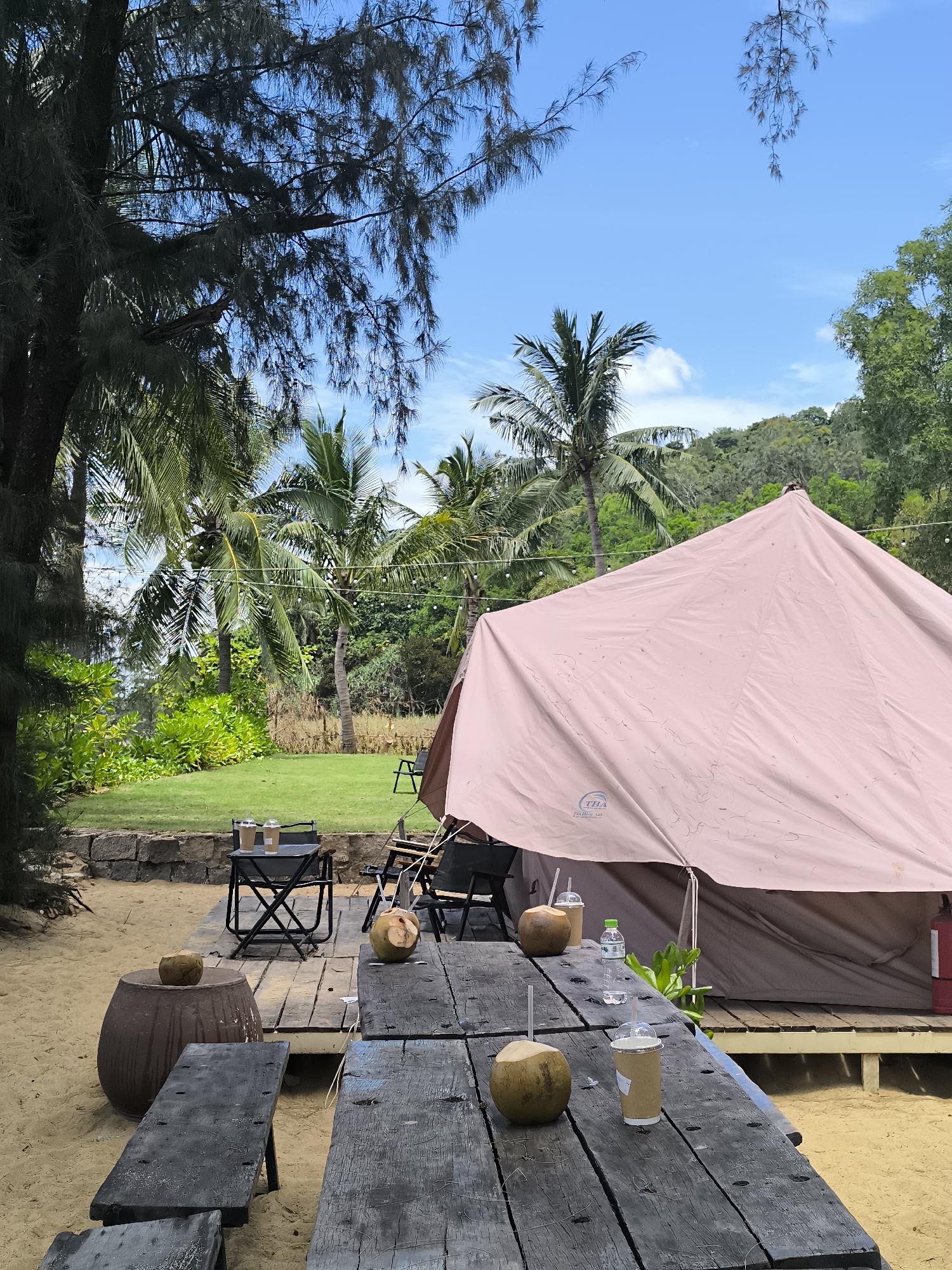 The image displays an outdoor glamping scene situated in Đà Nẵng, Vietnam, under a bright blue sky with scattered white clouds. In the immediate foreground, a weathered dark wooden picnic table with two attached benches is positioned on light-colored sand. On this table are three green coconuts, each fitted with a straw, and two disposable cups containing beverages, along with a plastic water bottle. To the left of the table, a dark, barrel-shaped container serves as a small table, holding one coconut with a straw.
The midground features a large, light pinkish-tan canvas bell tent, bearing a blue logo with "THA | Lan Hương Anh," erected on a raised wooden platform. A red fire extinguisher is partially visible next to the tent's entrance. In front of the tent, two black folding camping chairs are arranged around a small black folding table, which holds two disposable cups. Beyond the sand, a manicured green lawn is visible, bordered by a low, rough stone wall. Dense green tropical bushes and foliage line the edge of the lawn. String lights are strung horizontally between various trees in the mid-to-background.
The background consists of numerous tall palm trees and other lush, dense green tropical vegetation, which covers a gently rising hillside. A large tree with a dark trunk and sparse, drooping foliage partially frames the left side of the scene. No individuals are present in the image.